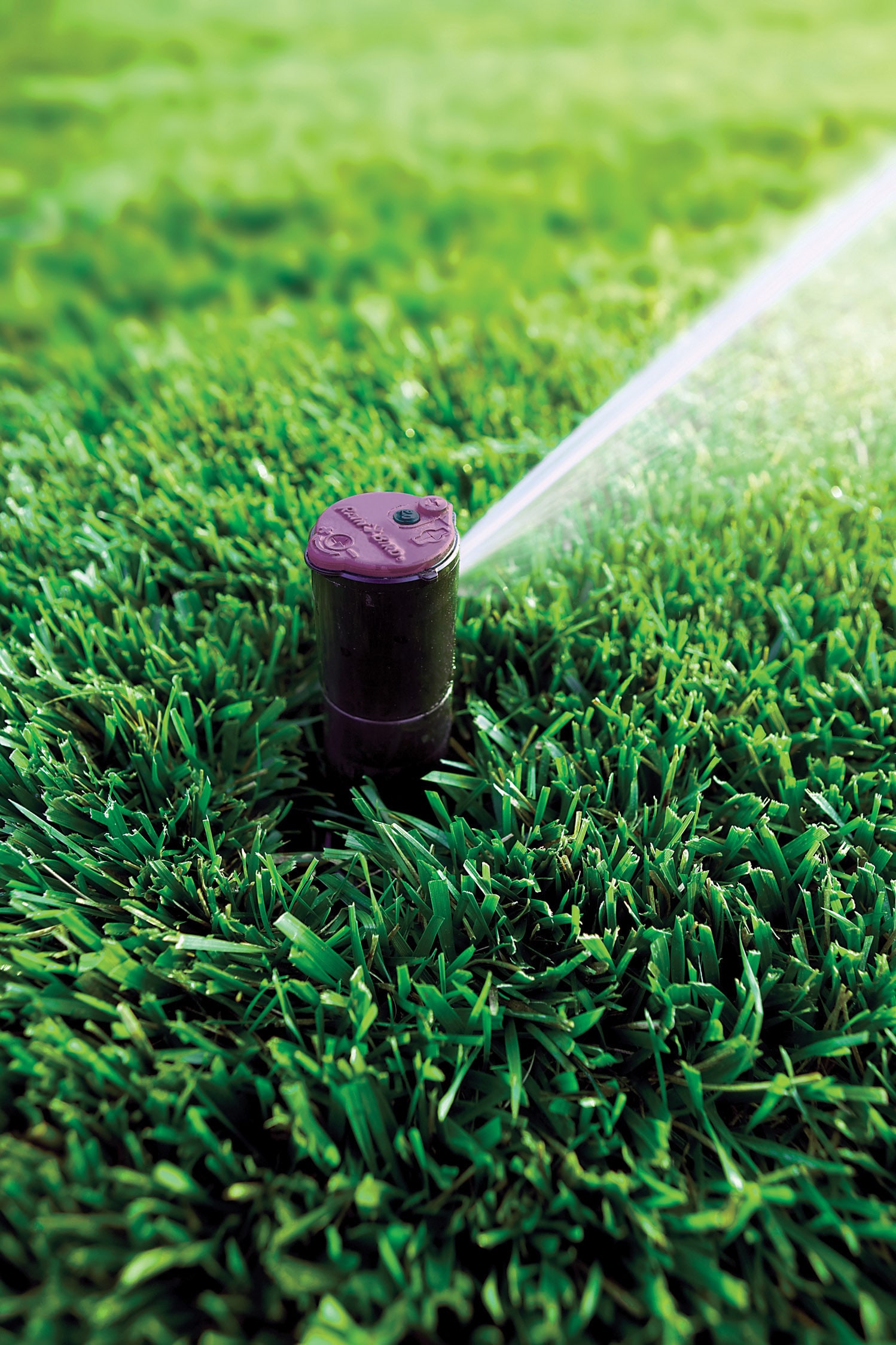 Rain Bird 42SA+NP Underground-Sprinklers - View #6