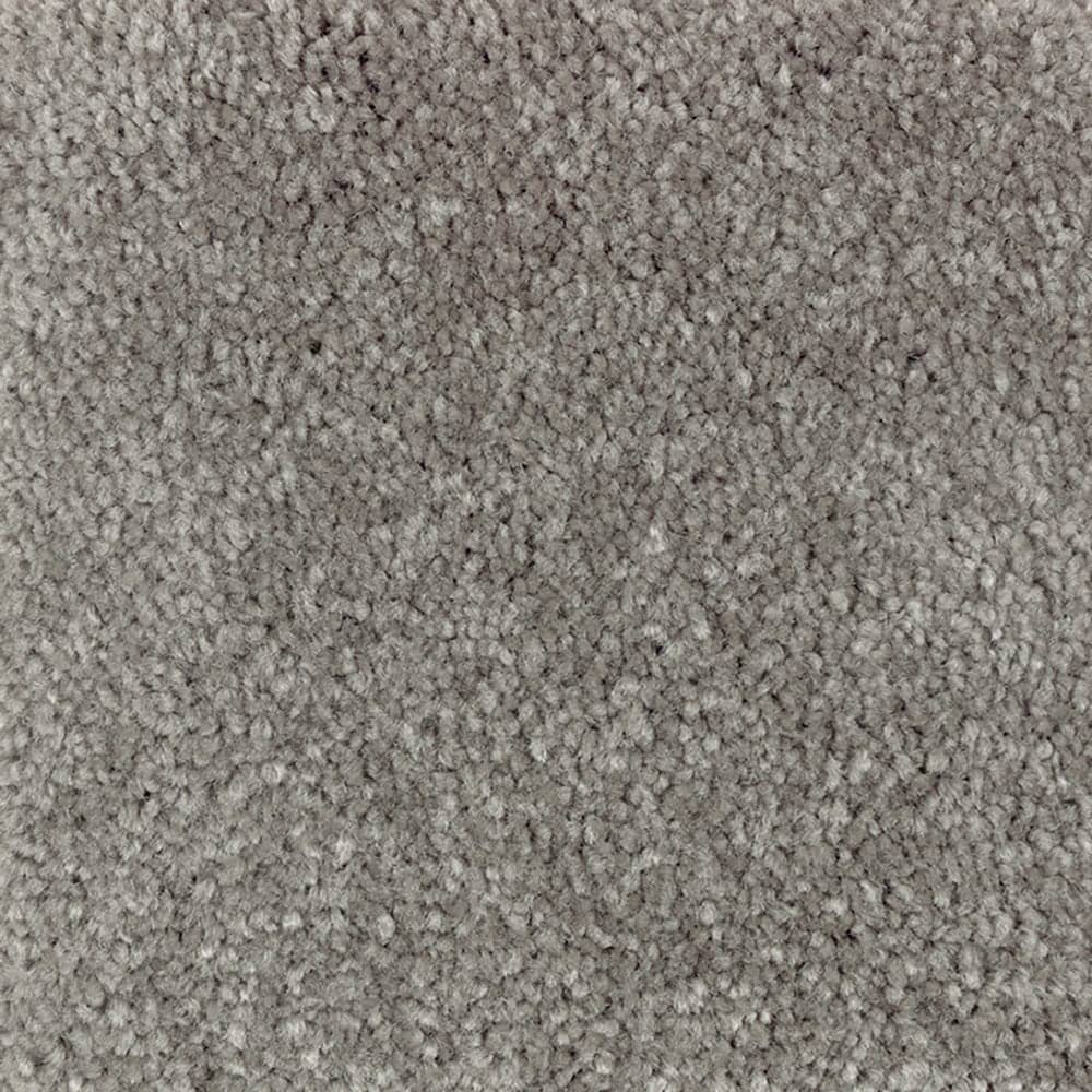 STAINMASTER PetProtect SS009-L013-0808 (Sample) Right Meow III Boardwalk Gray 58-oz sq yard Triexta Textured Indoor Carpet