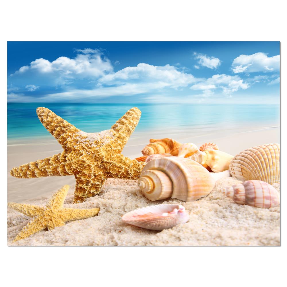 Colorful Canvas Collection, Coastal Beach Decor – Catch A Star Fine Art