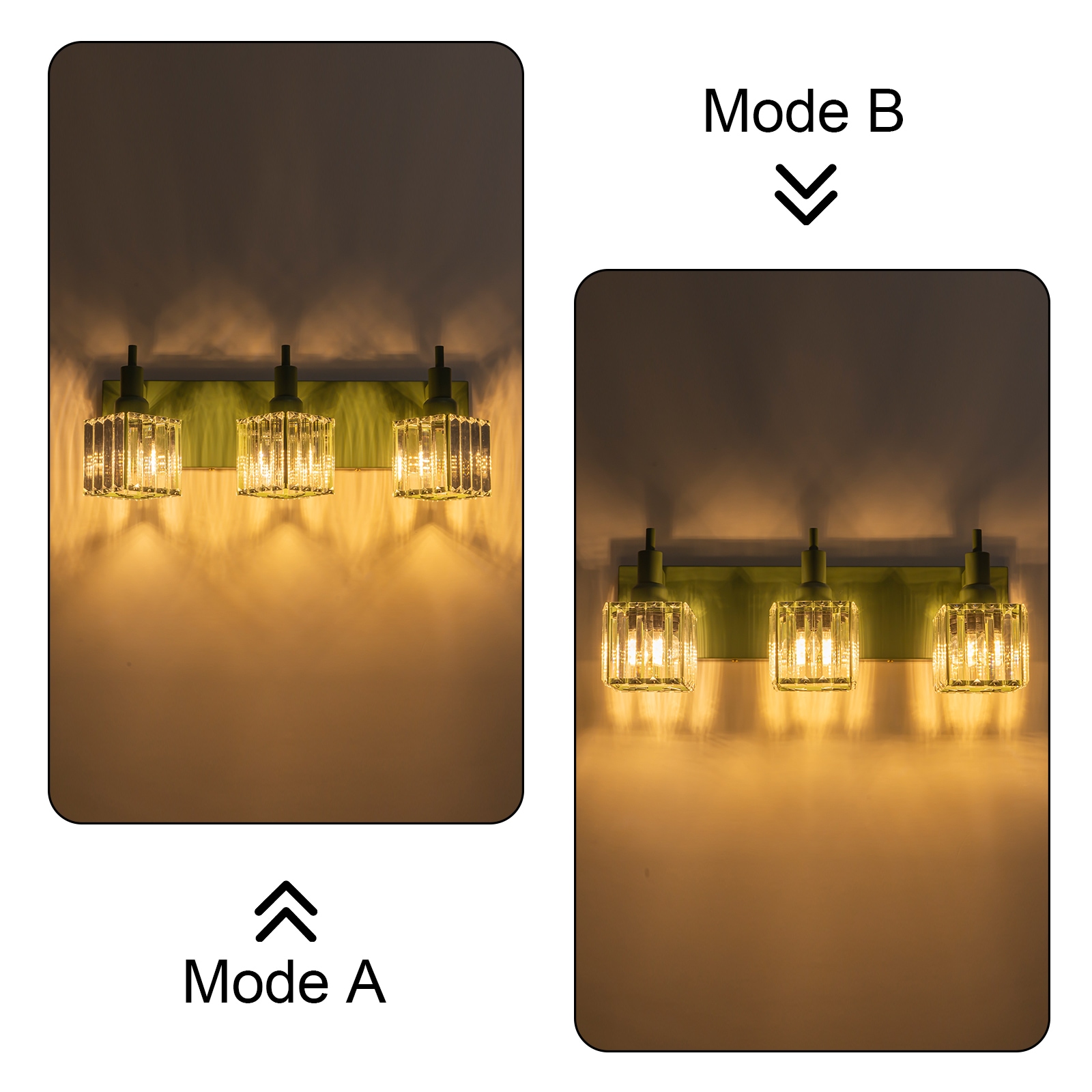 EDISLIVE Y81010000067248 b089995 - View #6