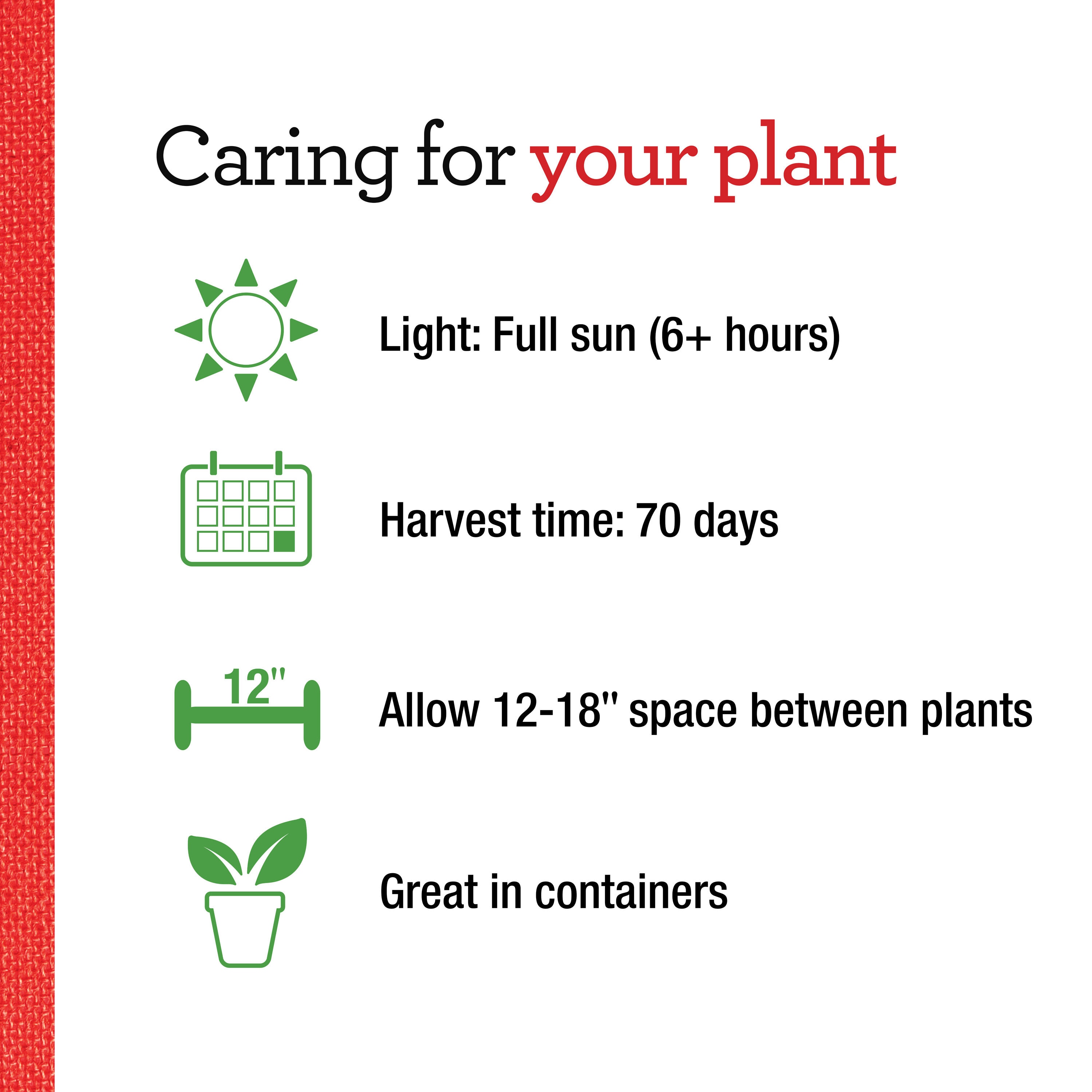 Bonnie Plants 202072 Vegetable-Plants - View #5