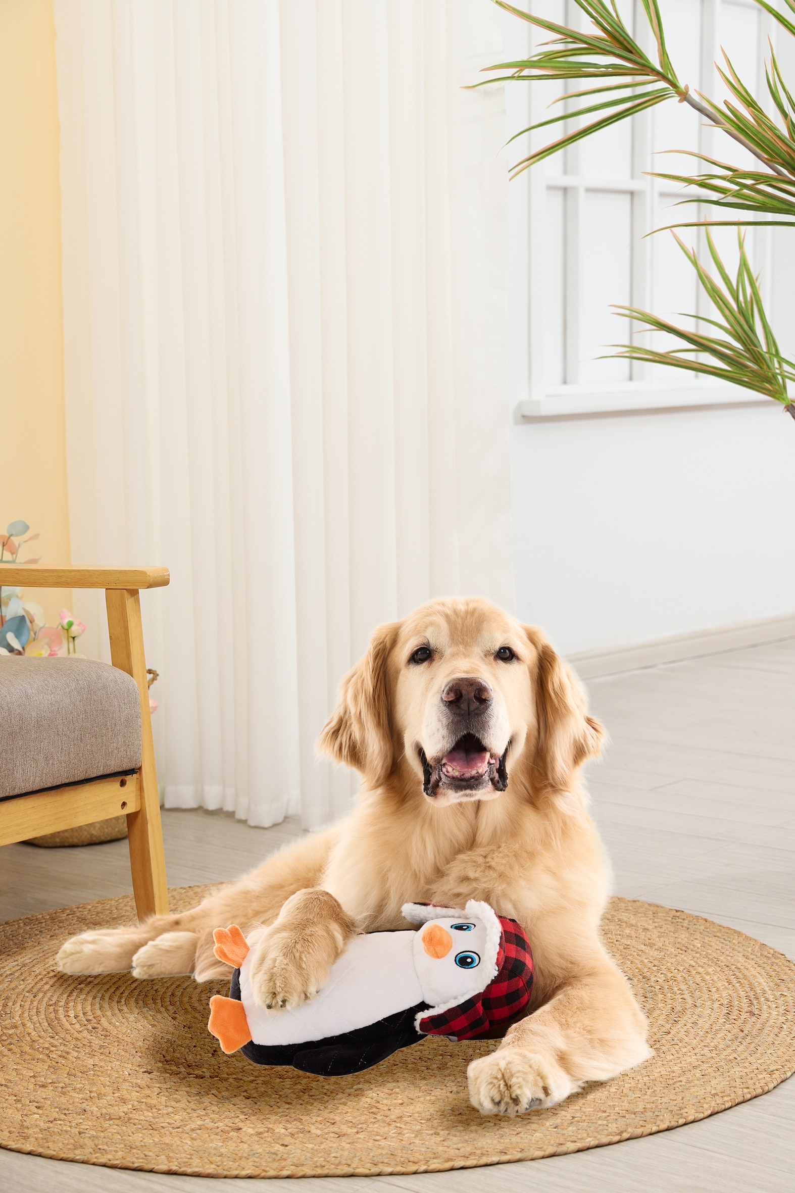 Holiday Living YT2502 Dog-Toys - View #5