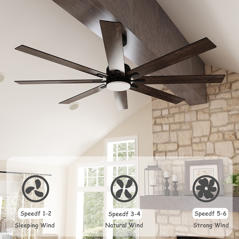 FUFU&GAGA JH0495-01 Ceiling-Fans - View #8