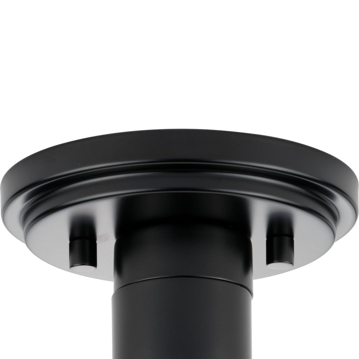 Adley Matte Black and Clear Glass Flush Mount Light