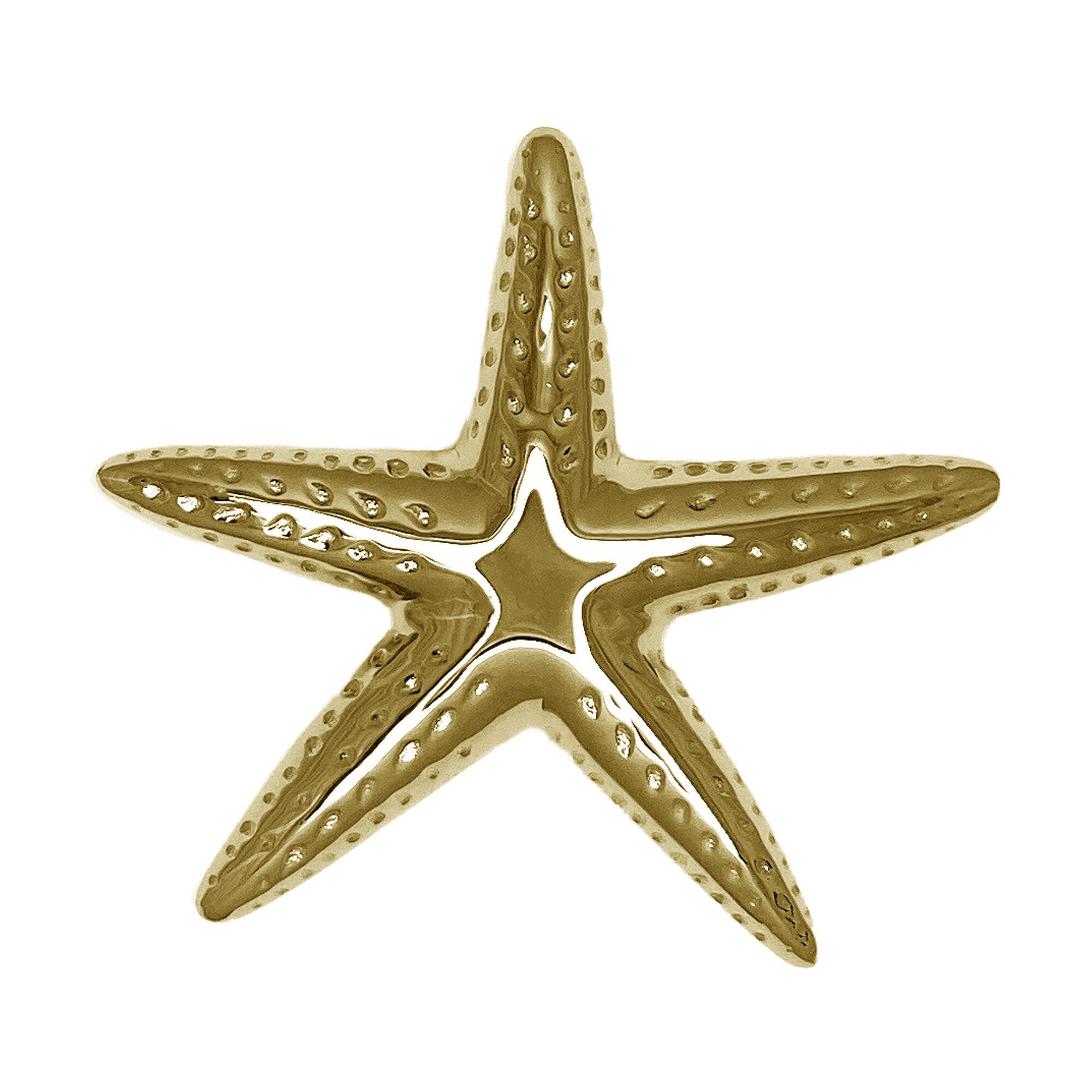 Michael Healy Solid Brass Starfish Door Knocker in Polished Finish