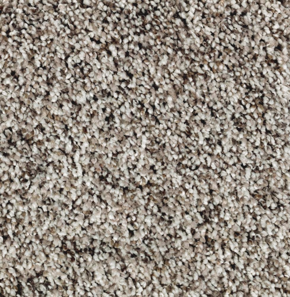 STAINMASTER S1077775WINTER -4773 (Sample) Essentials Lasting Softness II Winter White Textured Carpet