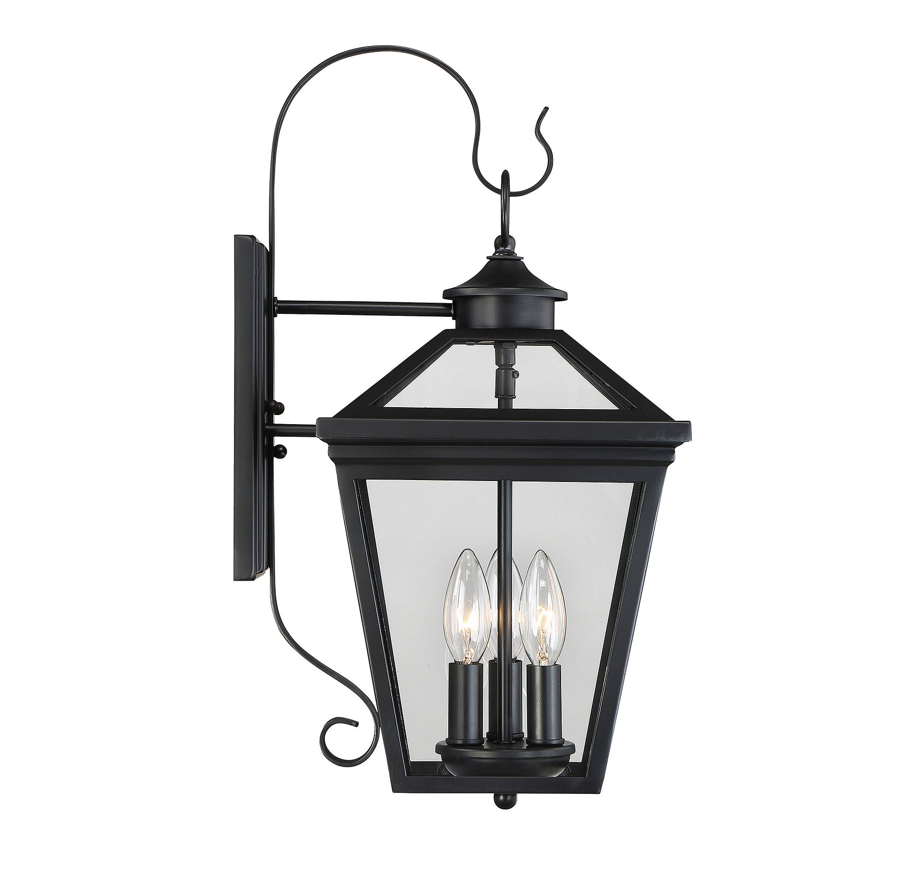 Ellijay Black Glass 3-Light Outdoor Wall Lantern