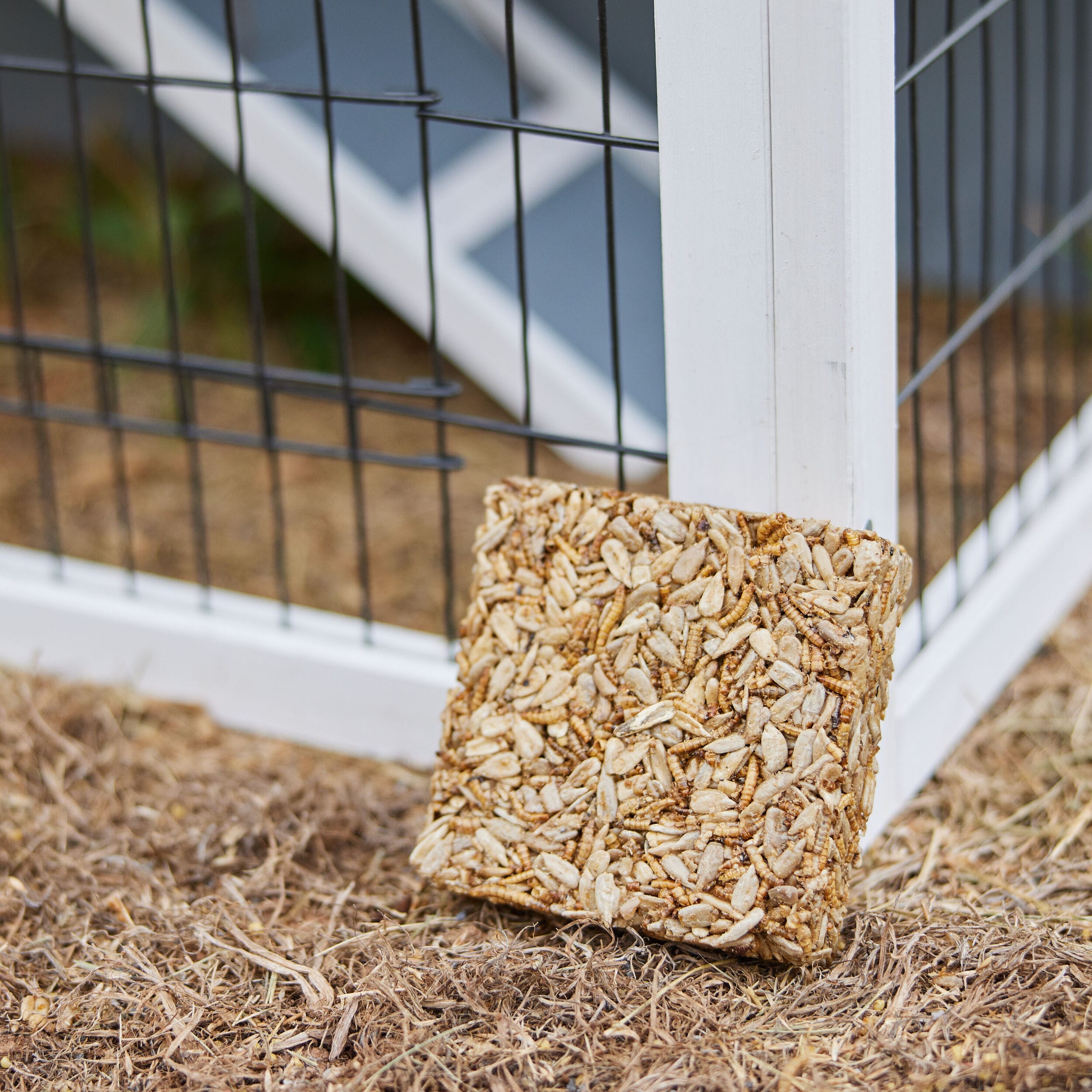 Pecking Order 009333-4 Poultry-Feed - View #7