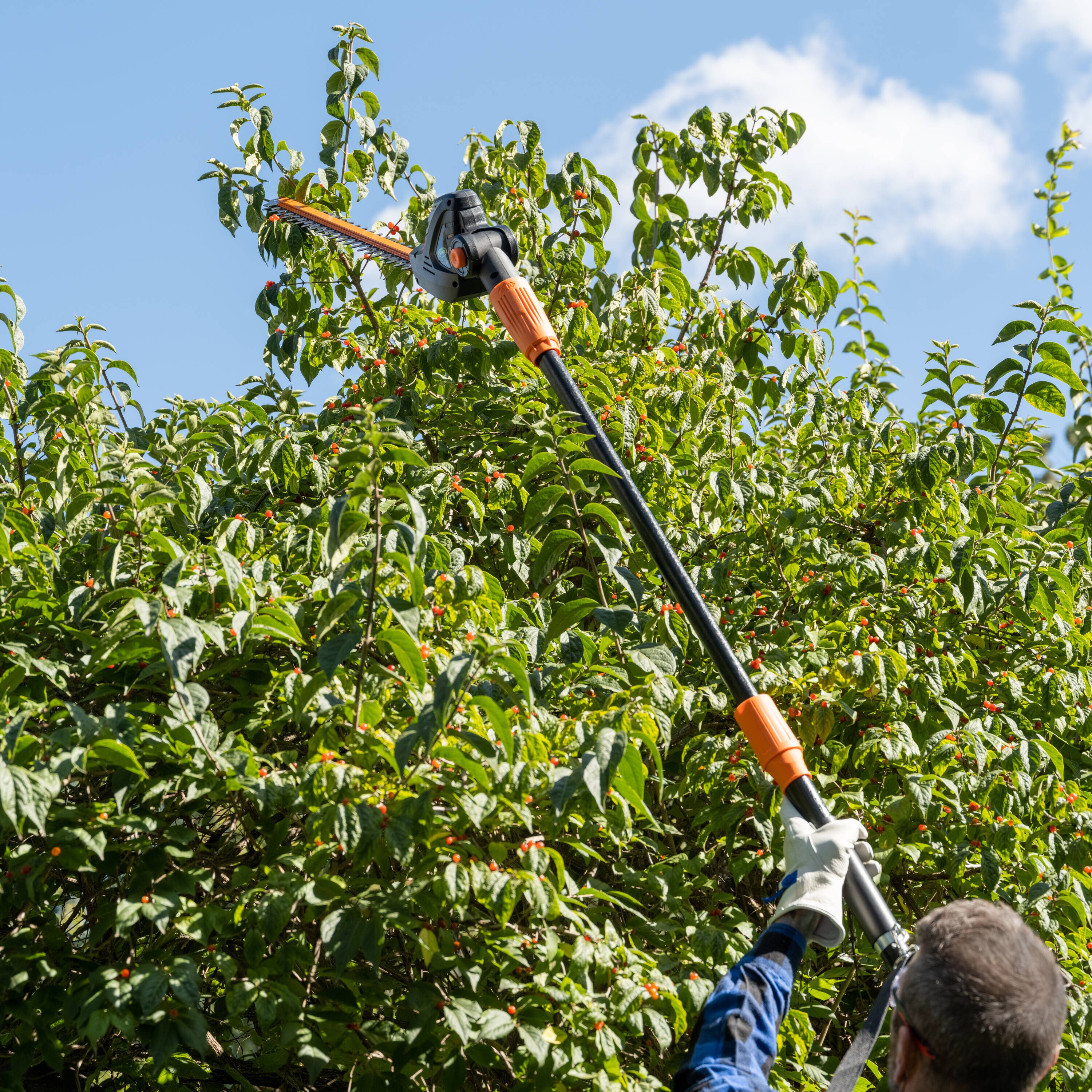 Scotts 2-in-1 Cordless Convertible Pole Saw / Hedge Trimmer with 2.0 Ah  Battery and Fast Charger CLPS40020S - 20V