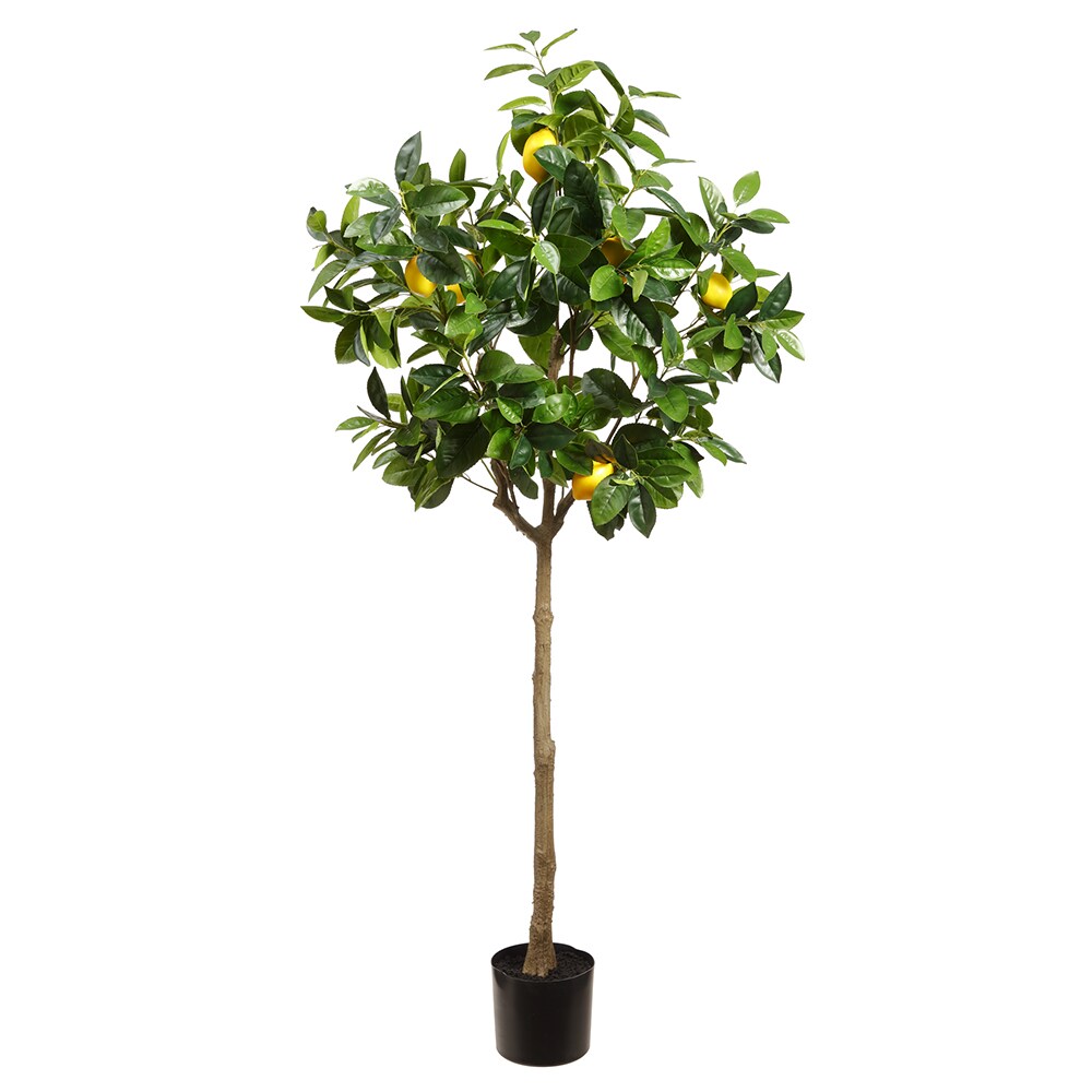 Allstate Floral LVL139-YE/GR 65-in Yellow Green Indoor Floor Fir Artificial tree