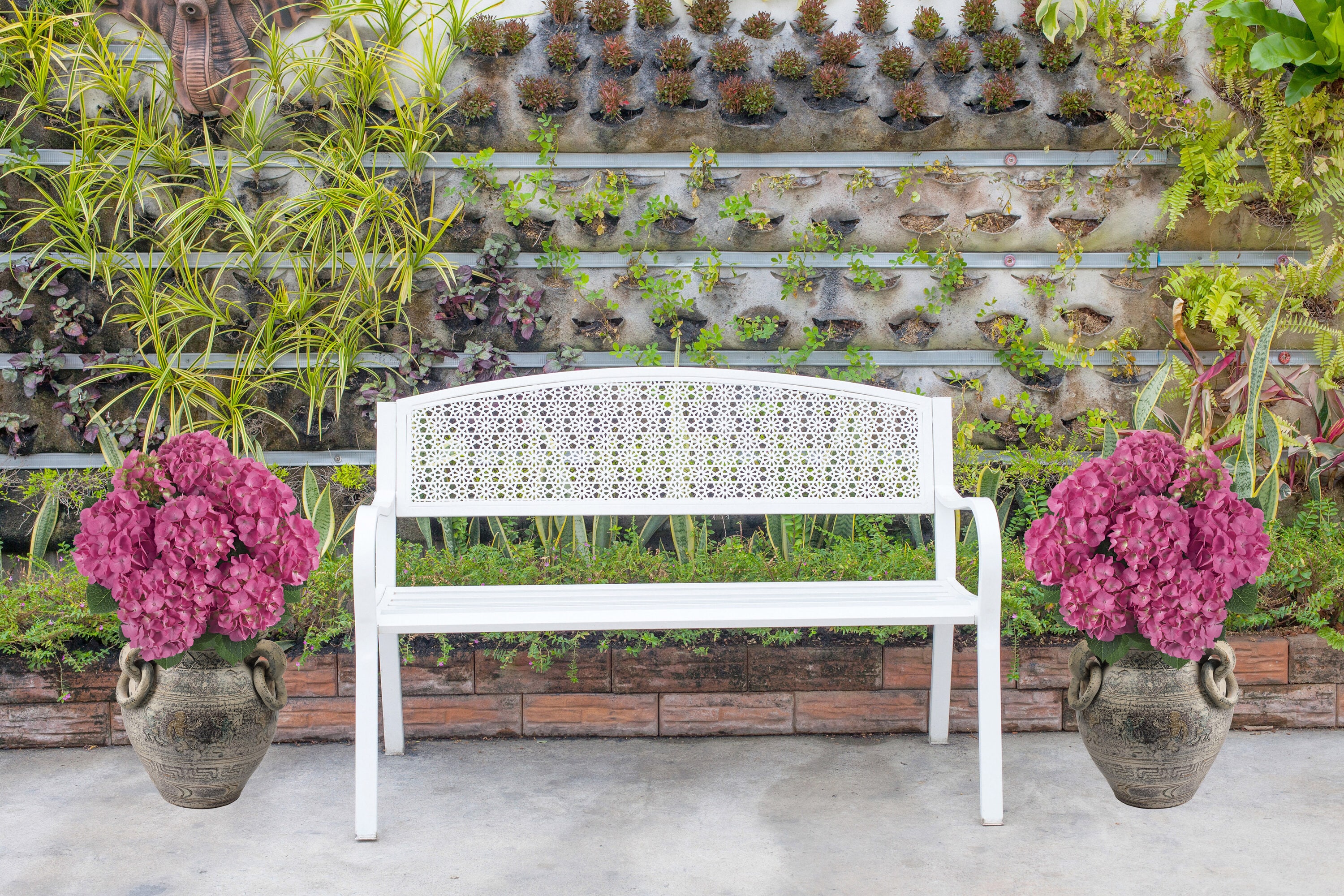  3071 shrubs - View #4