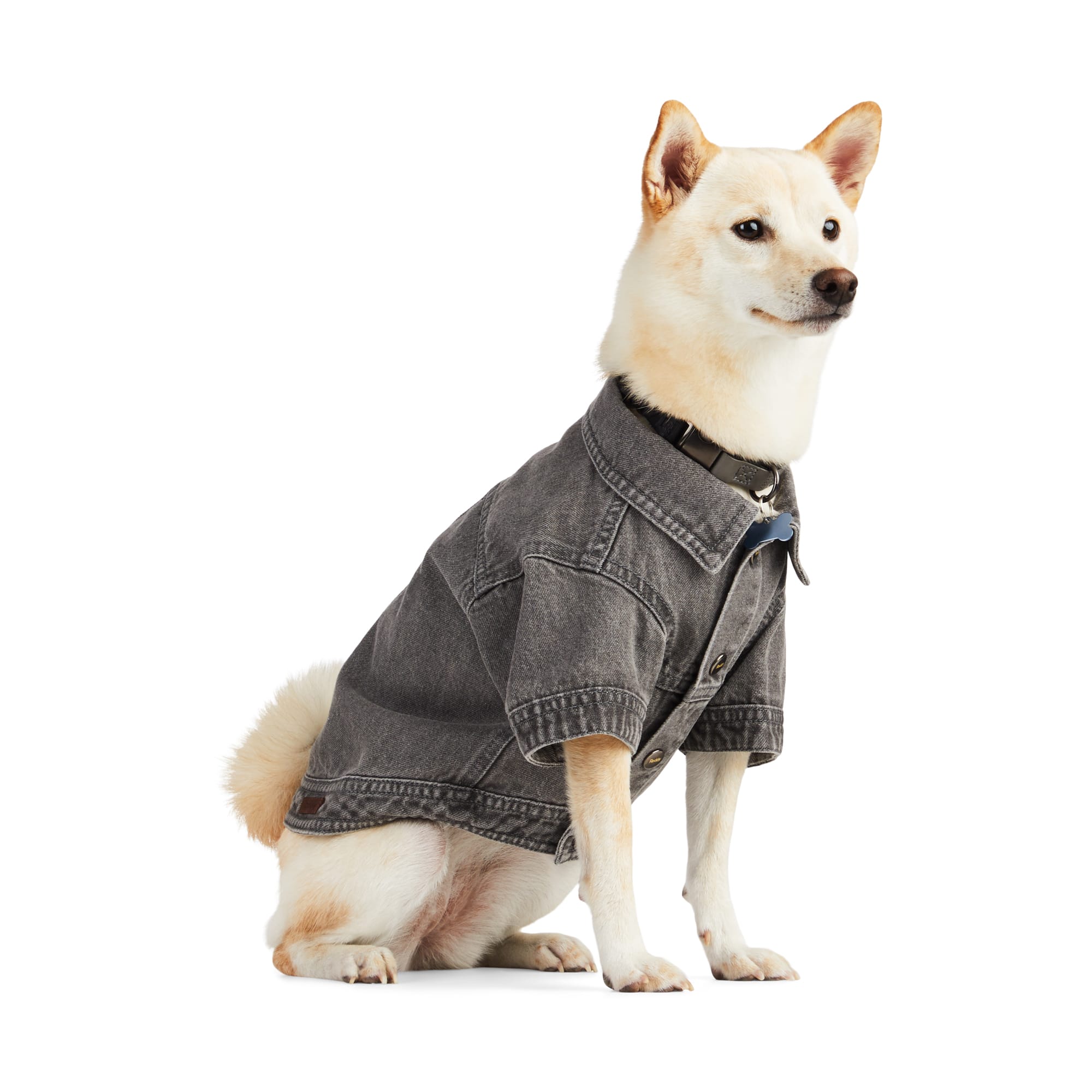 Reddy PTY-23050120MD Dog-Clothing-Acc - View #3