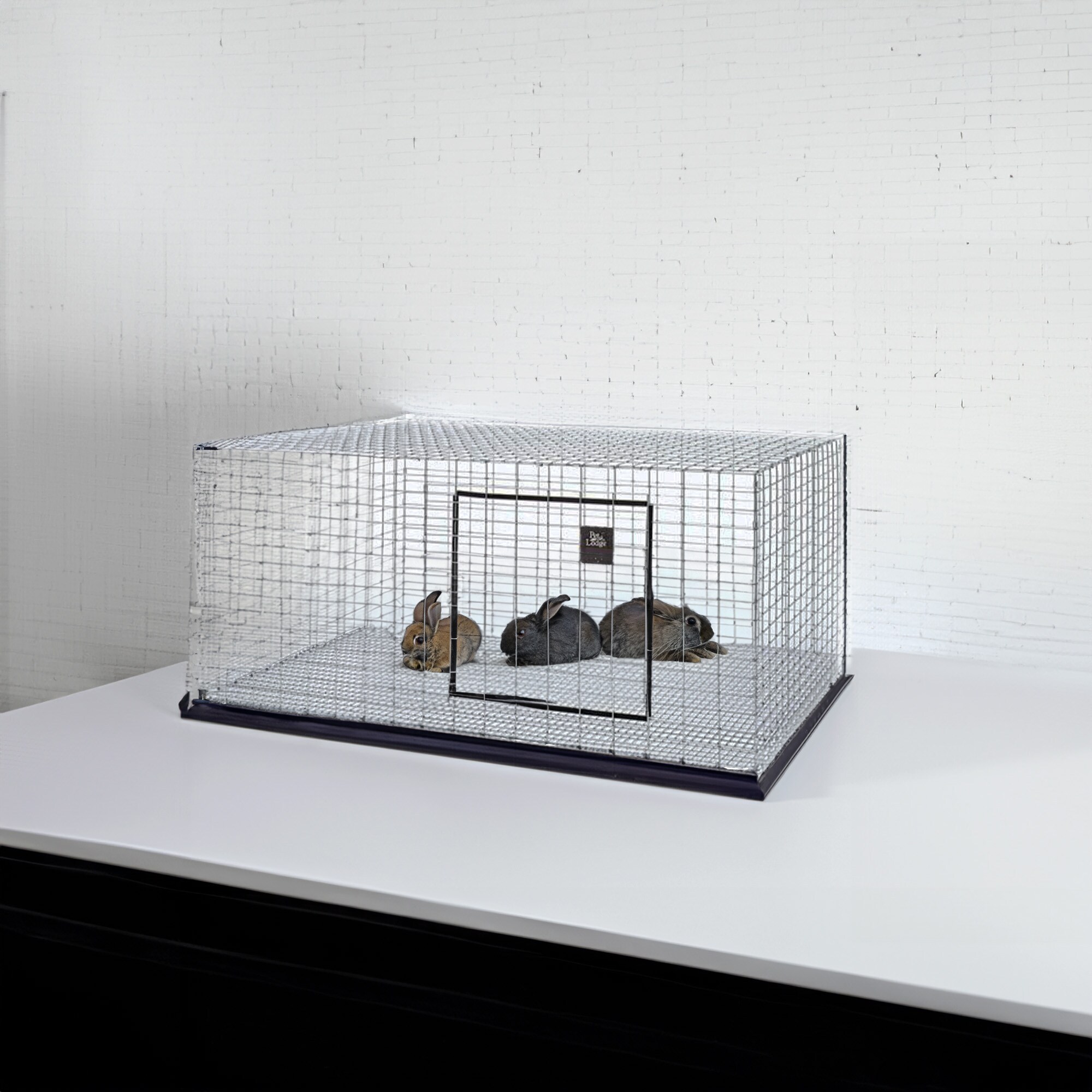 Little Giant AH3036 Chicken-Coops-Rabbit-Hutches - View #4