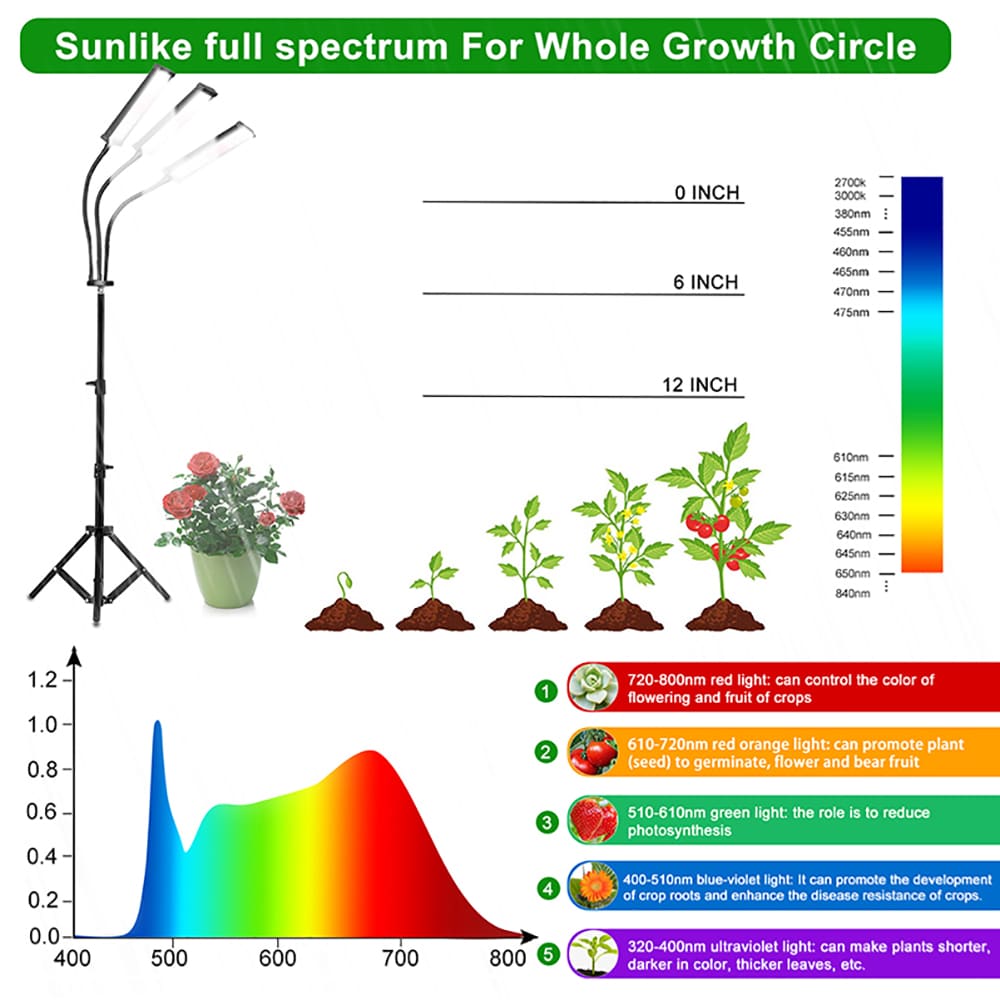 BANSA ROSE DOLW071249 Grow-Lights - View #10