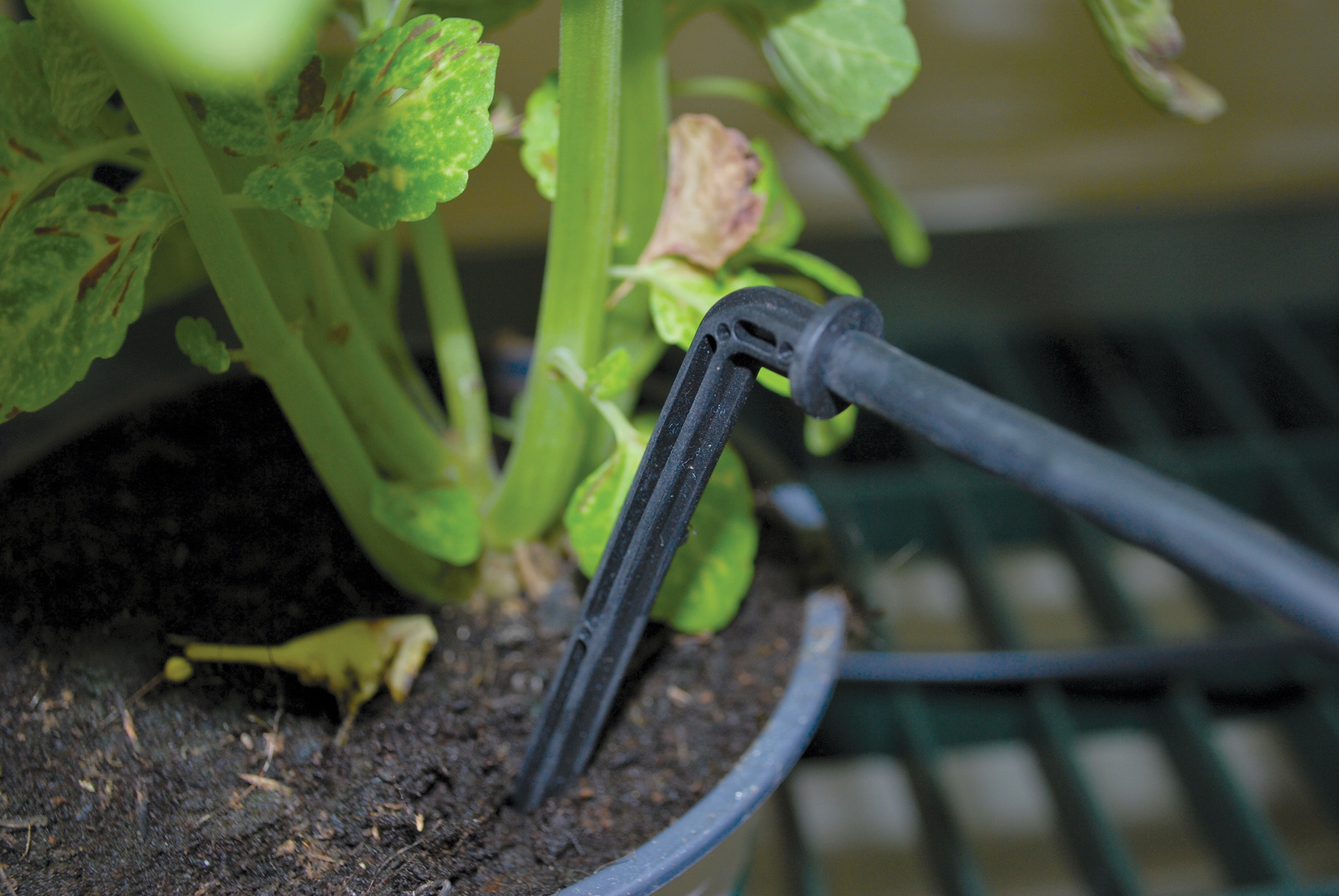 Canopia by Palram 702043 Greenhouse-Vent-Openers - View #3