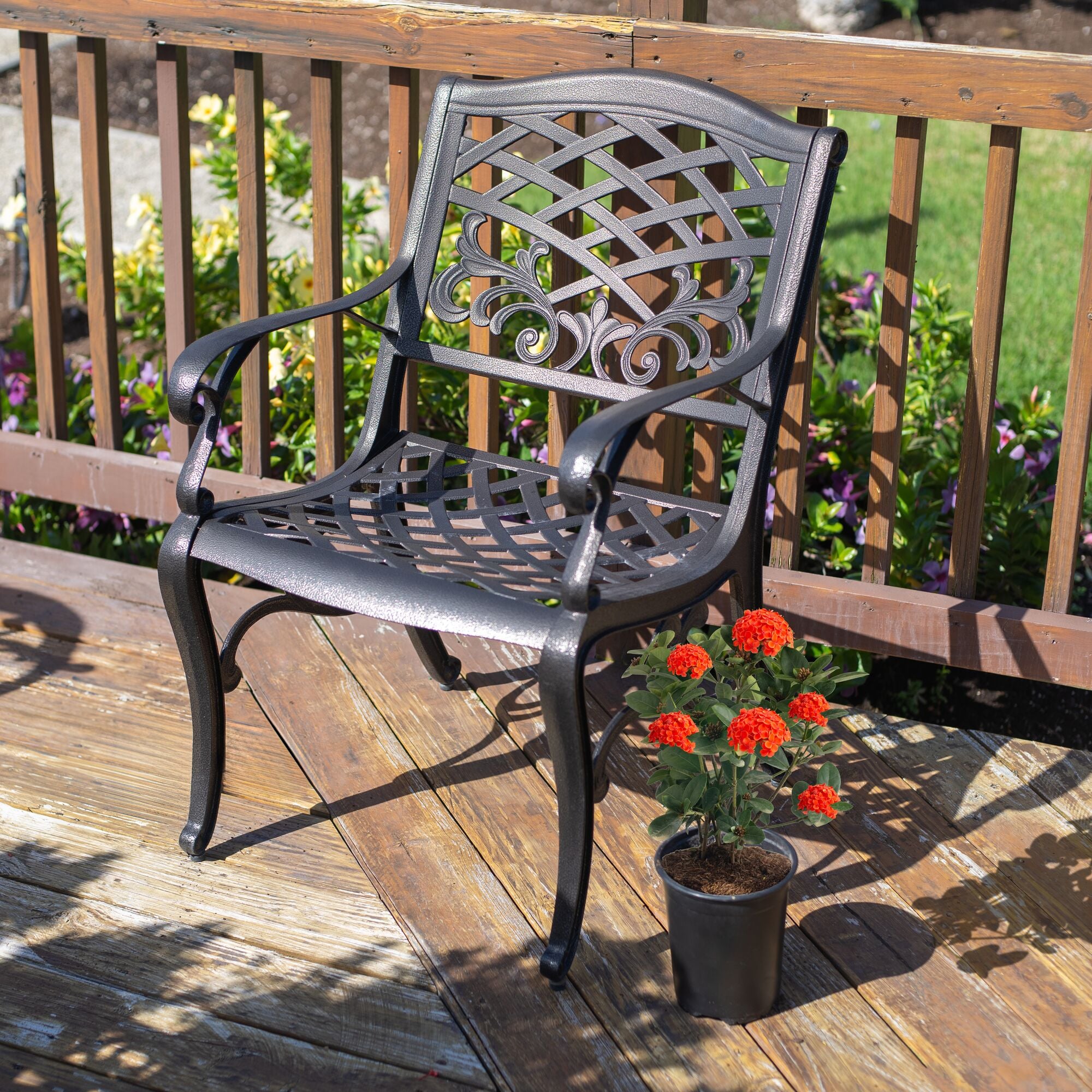 Costa Farms M-IMI-G-POT-01-LW shrubs - View #3