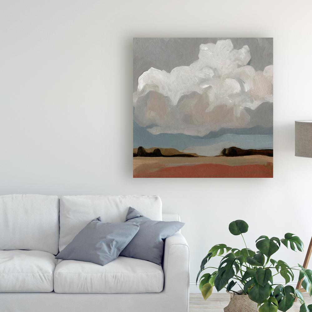 Trademark Fine Art WAG11026-C3535GG Emma Scarvey "Cloud Formation I" 35x35 Canvas Art Emma Scarvey Multicolor 35-Inches H x 35-Inches W Abstract Canvas Print