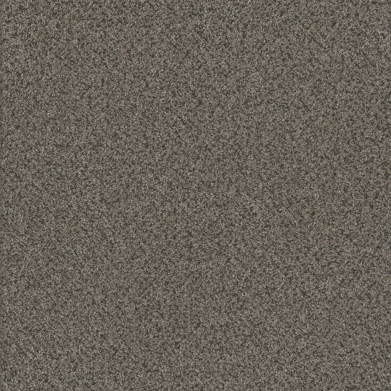 STAINMASTER L3018-362-0808 (Sample) 8-in x 8-in Soft Shadows III Eclipse Brown 65-oz sq yard Solution-dyed polyester Textured Indoor Carpet