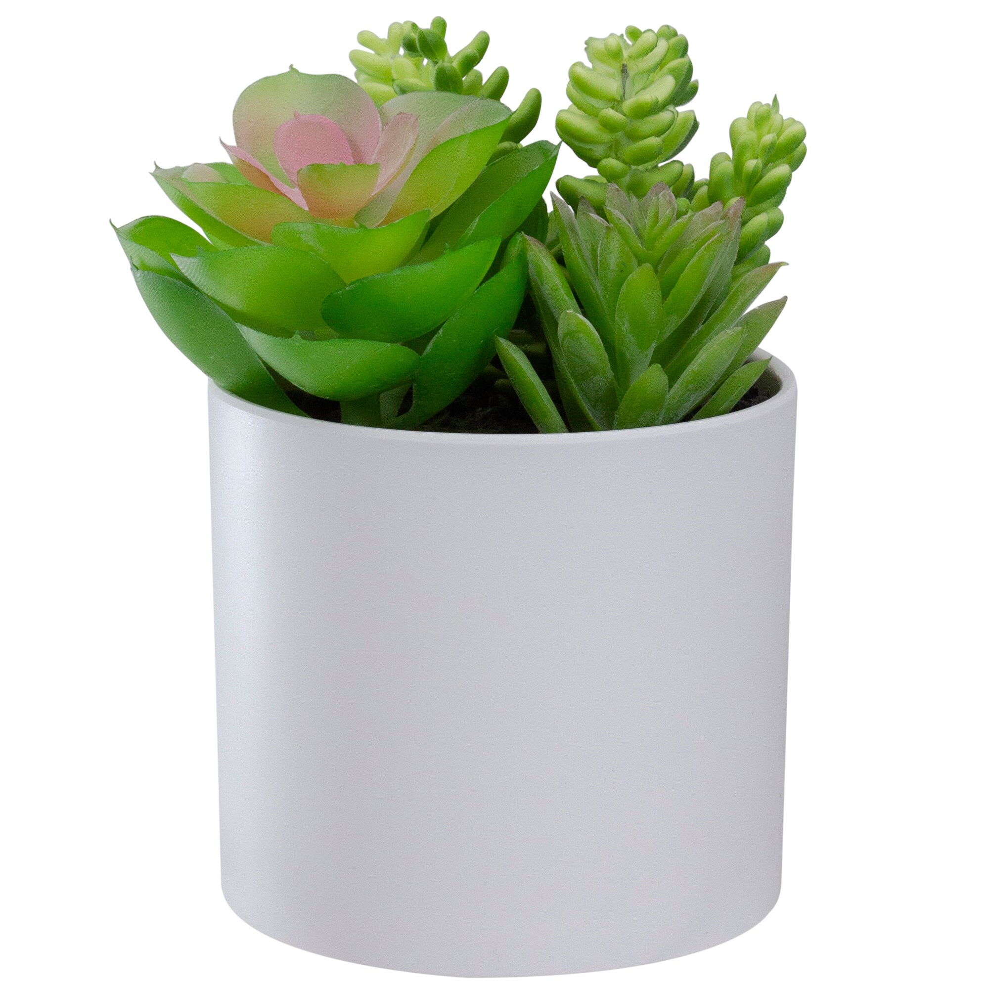 Northlight 34738375 5.5-in Green Indoor Desktop Succulent Artificial plant