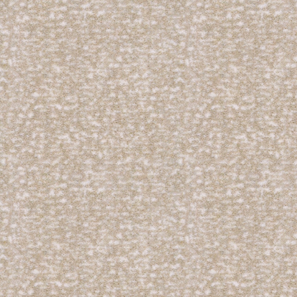 Joy Carpets 2035W-02 Home Office Lazy Day Taupe Brown 26-oz sq yard Nylon Pattern Indoor Carpet