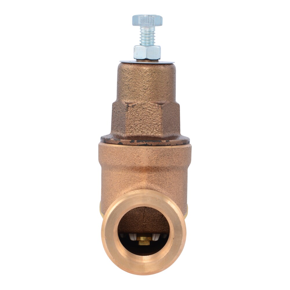 Cash Acme PVA16M-SUSW-60 Pressure-Relief-Valves-Regulators - View #2