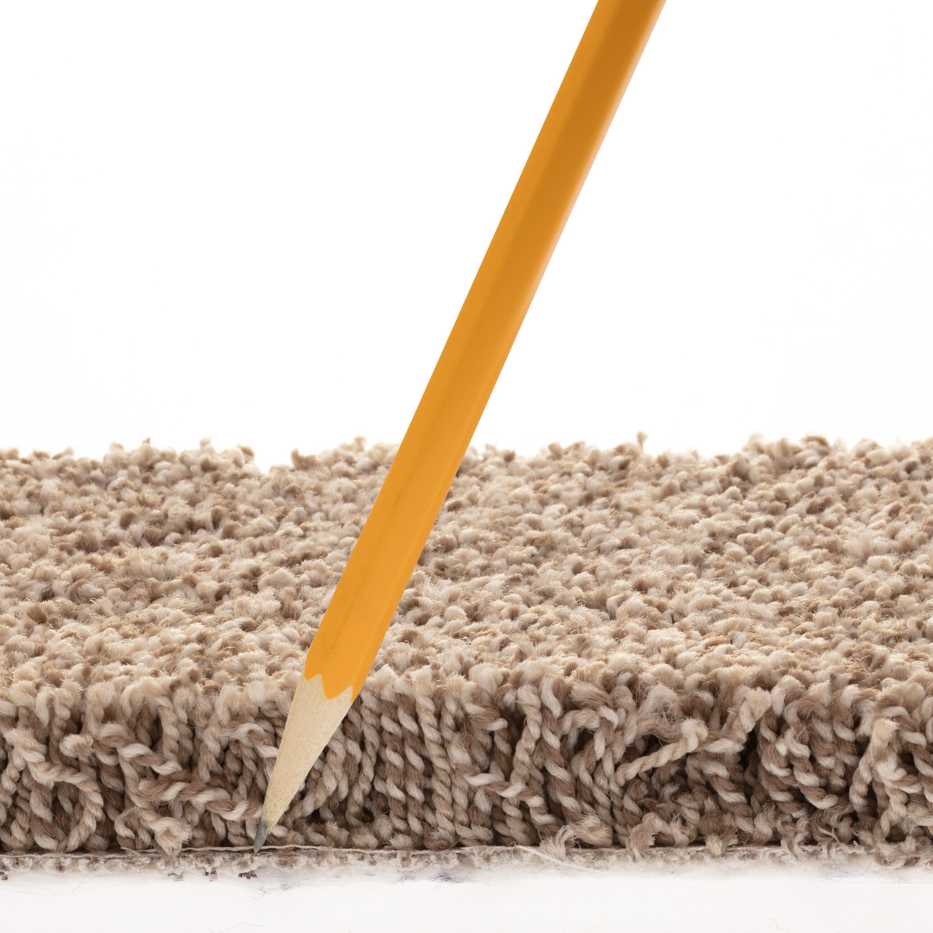 STAINMASTER 7L878 - 700 - SAMP Carpet-Samples - View #7