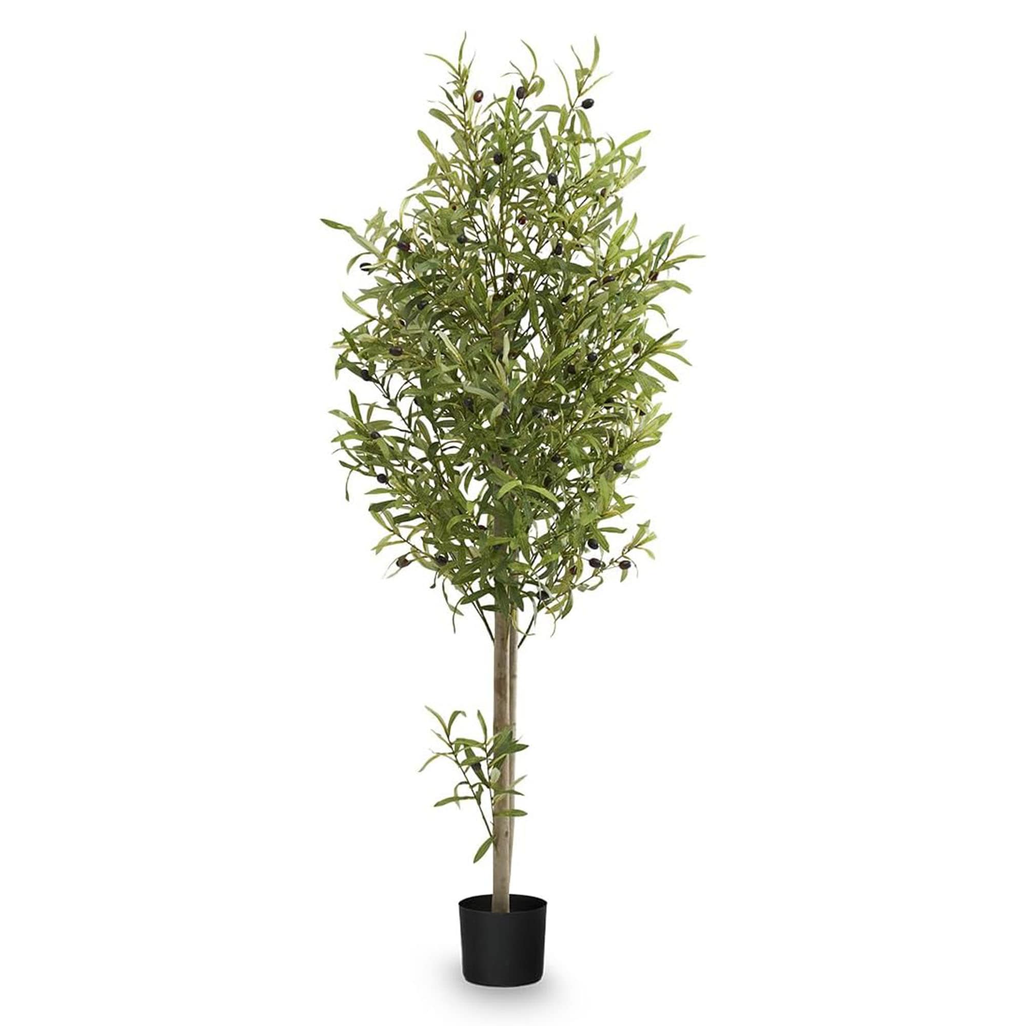 MAIA SHOP 401571 60-in Color Indoor Desktop Olive Artificial tree