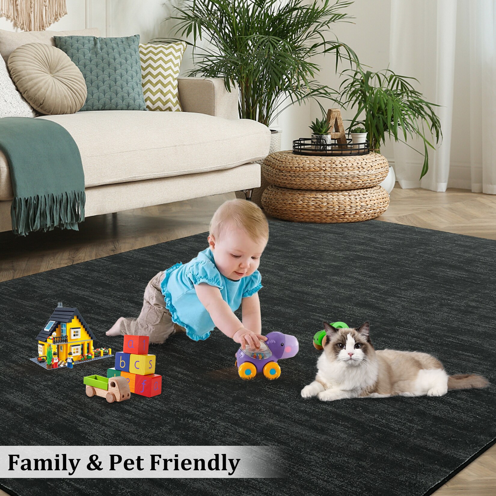 Assile ASRUG26820011DRCW rugs - View #7