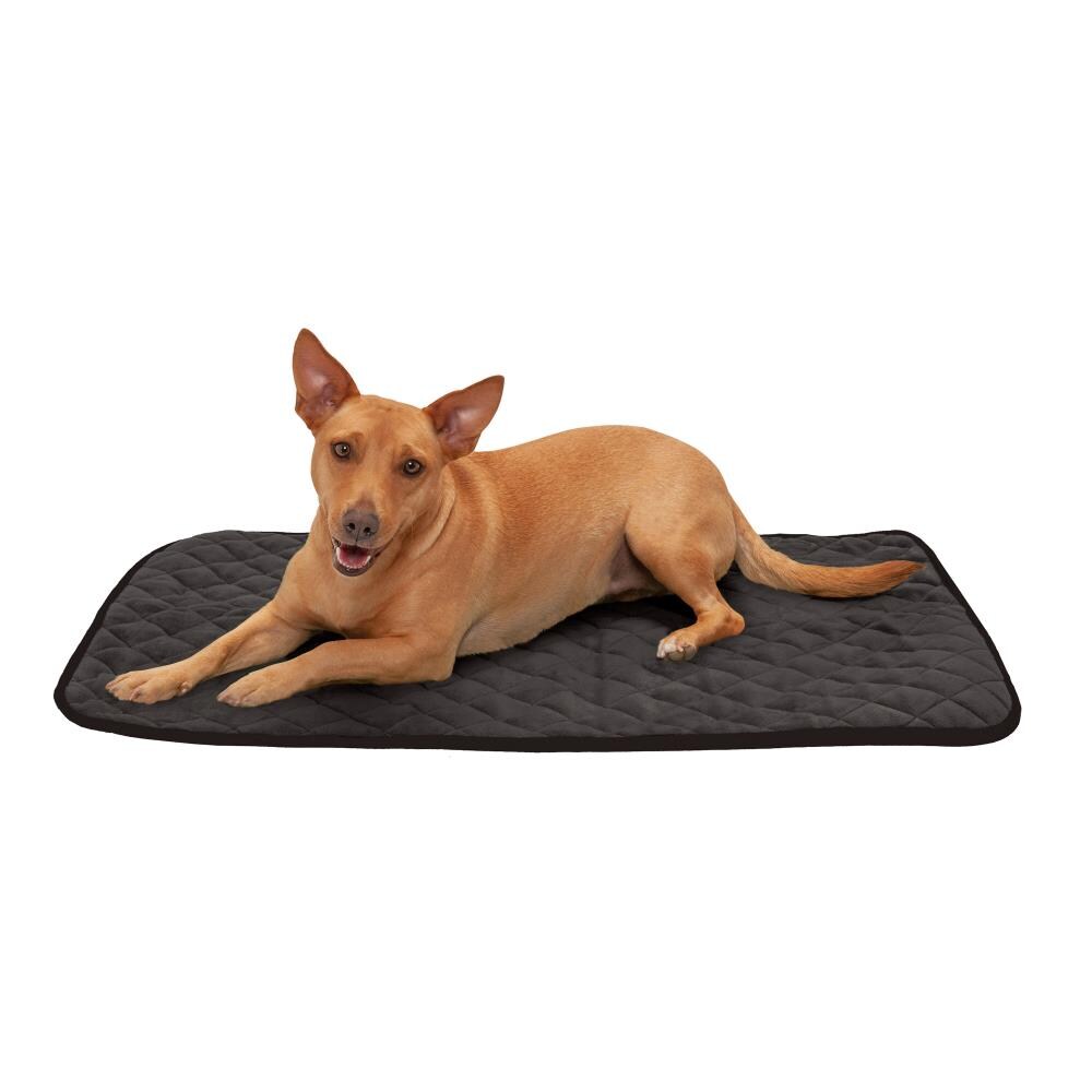 FurHaven 48339601 Rectangular Espresso Polyester Orthopedic Dog Bed ( Medium )