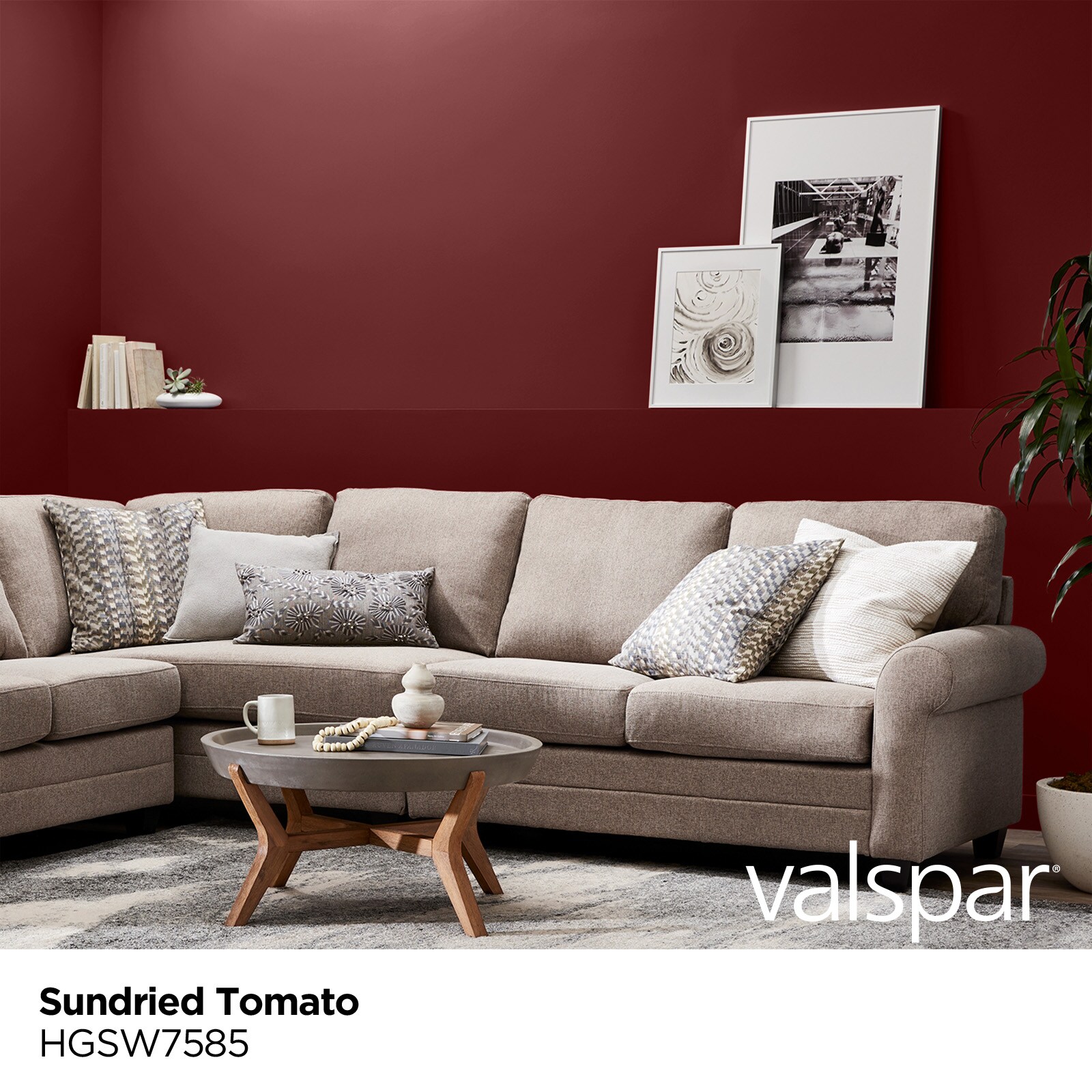 HGTV HOME by Sherwin-Williams HGSW7585 Paint-Samples - View #2