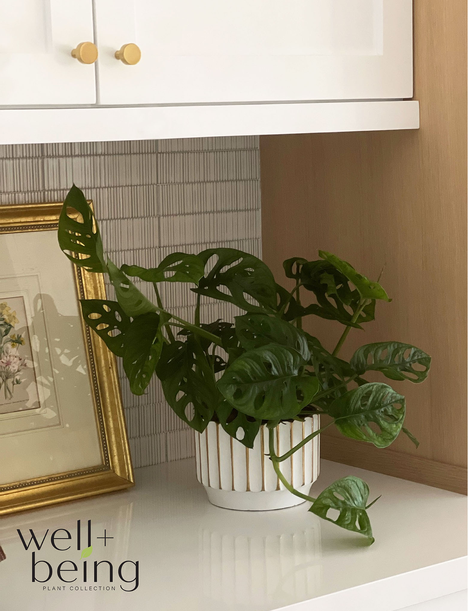  9224 hseplants - View #3