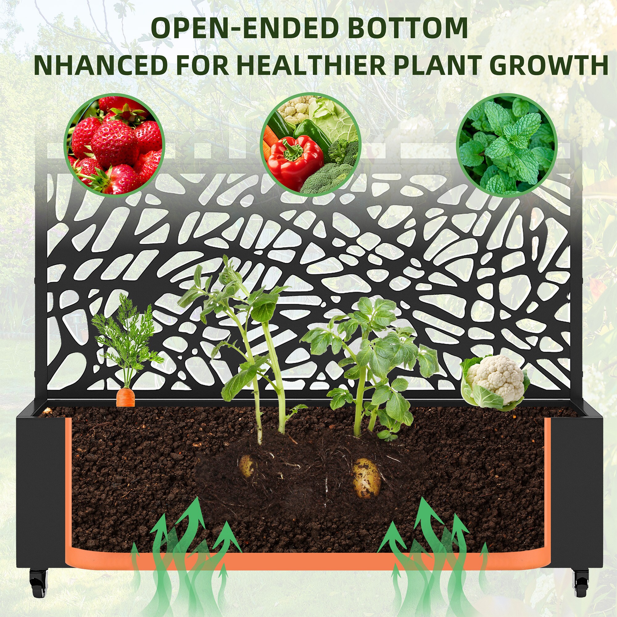 Wooakway LS0605-601C113 Raised-Planter-Boxes - View #5