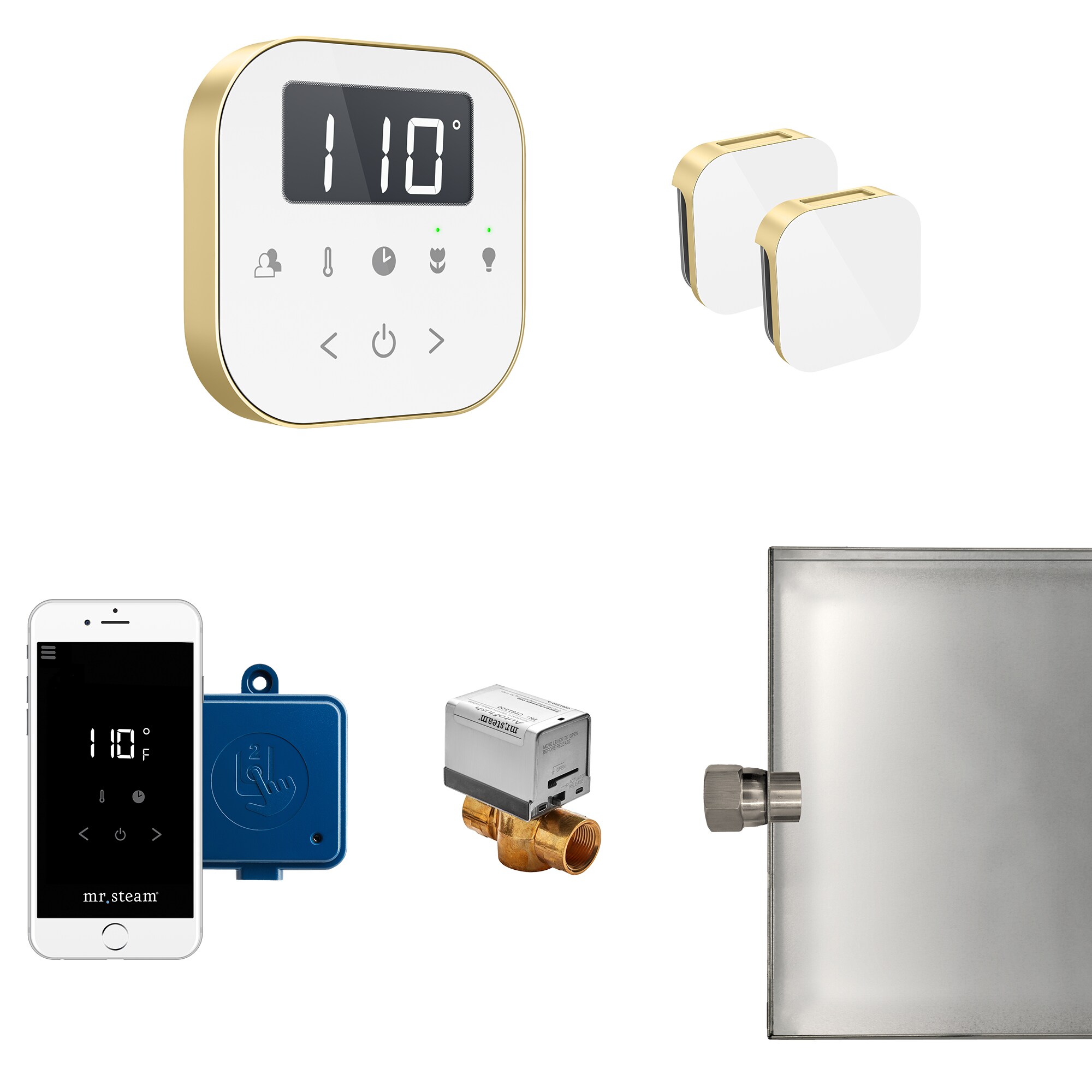 Mr. Steam ABUTLERXW-SB 120-Watts White Satin Brass Steam generator control kit