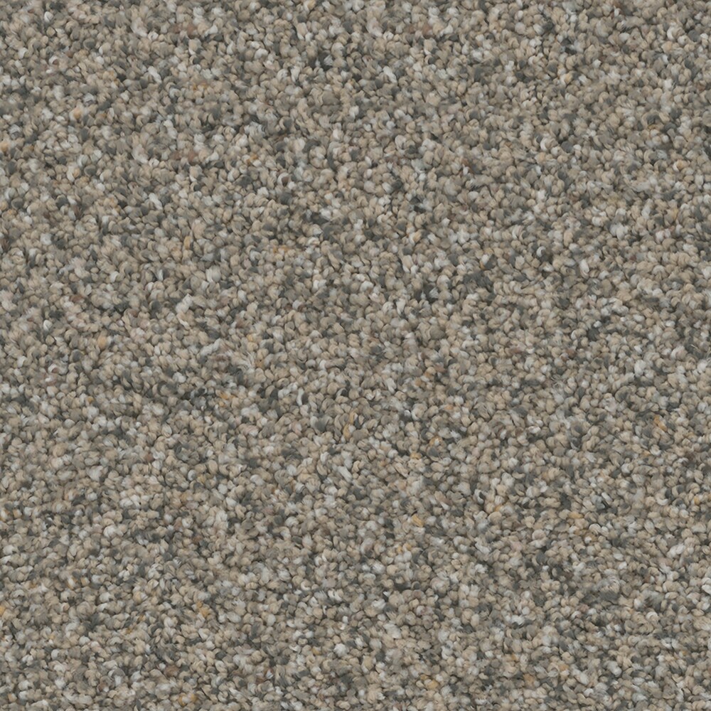 STAINMASTER PetProtect S9754-839-1200-MO Santa Rosa Historic Square Brown 54-oz sq yard Nylon Textured Indoor Carpet