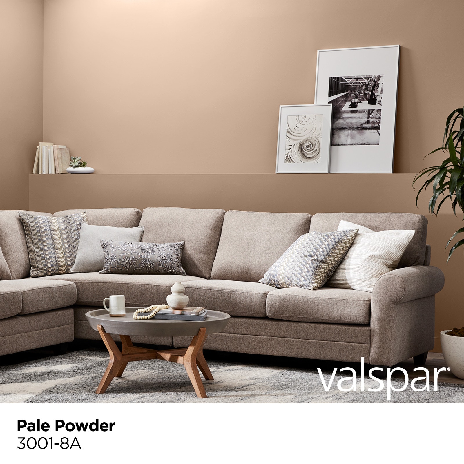 Valspar 3001-8A-2916571 Int-Ext-Paint - View #2