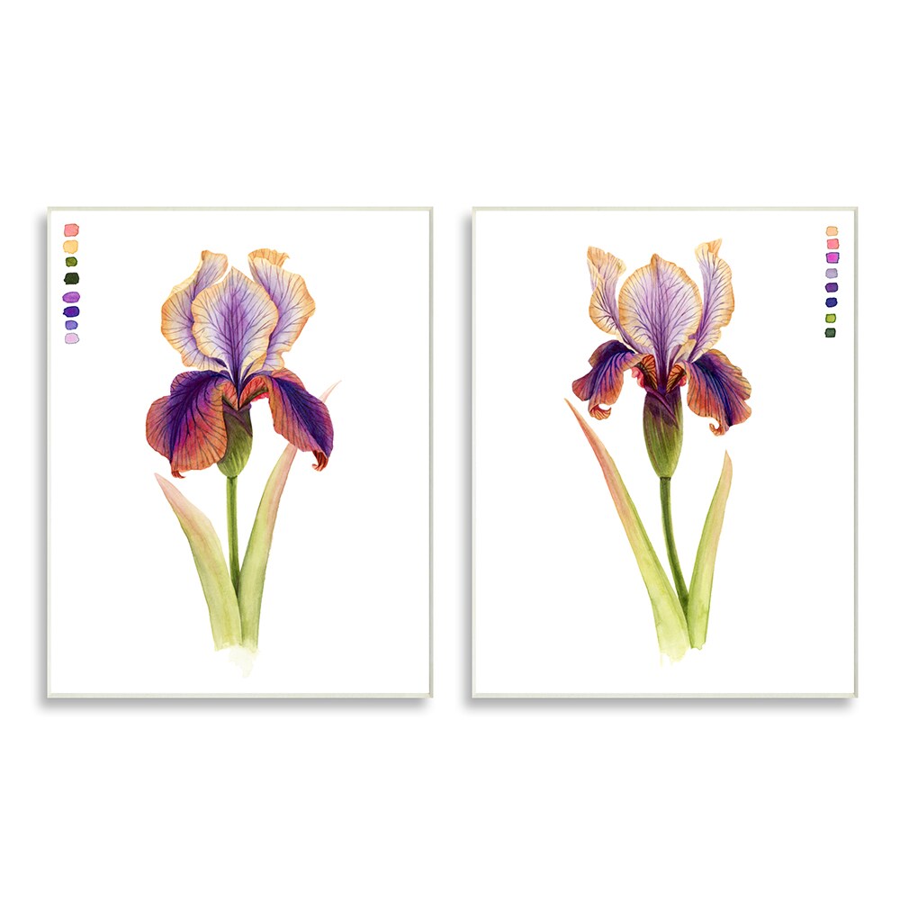 PURPLE IRIS WITH ORANGE POPPIES HOME DECOR LIGHT SWITCH PLATES OR OUTLETS 
