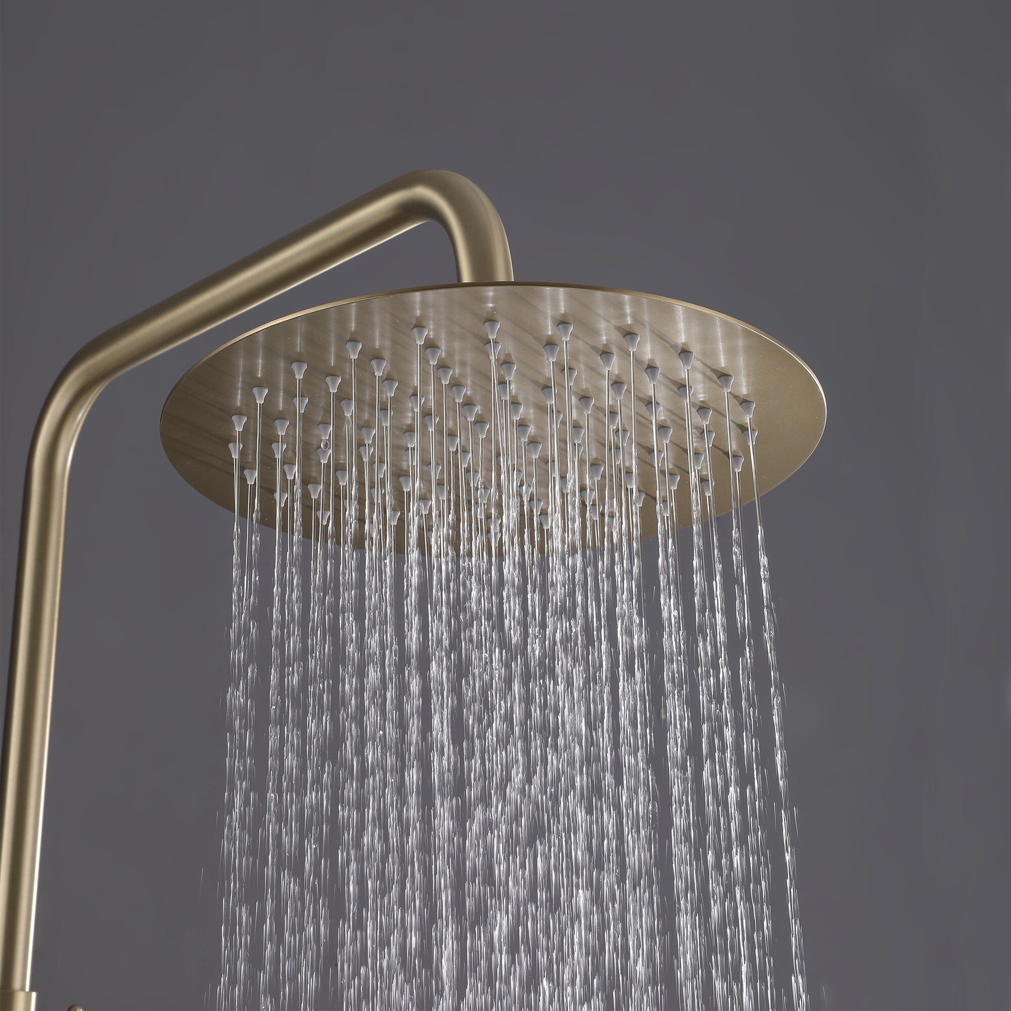 Royal Guard LSFJK0153 Showerhead-Bar-Panels - View #4