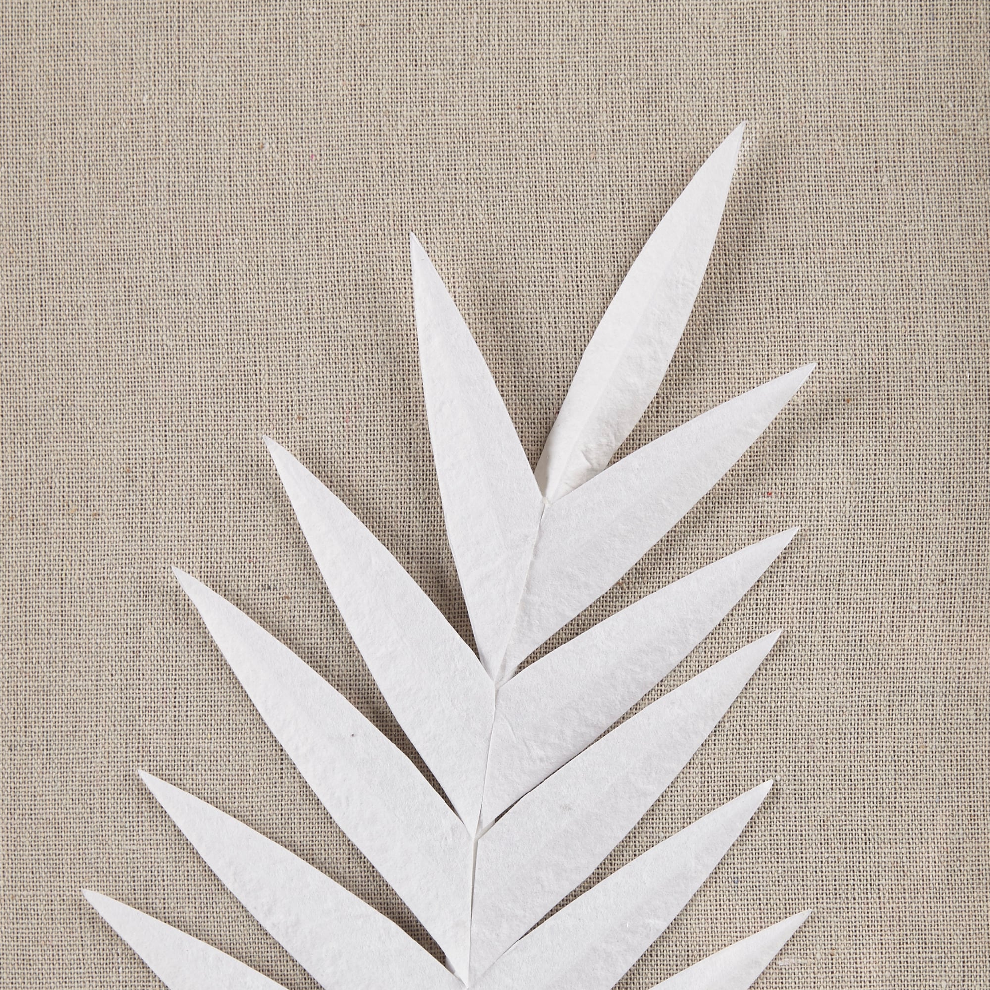 Off-White Framed Rice Paper Palm Leaves Shadowbox Set