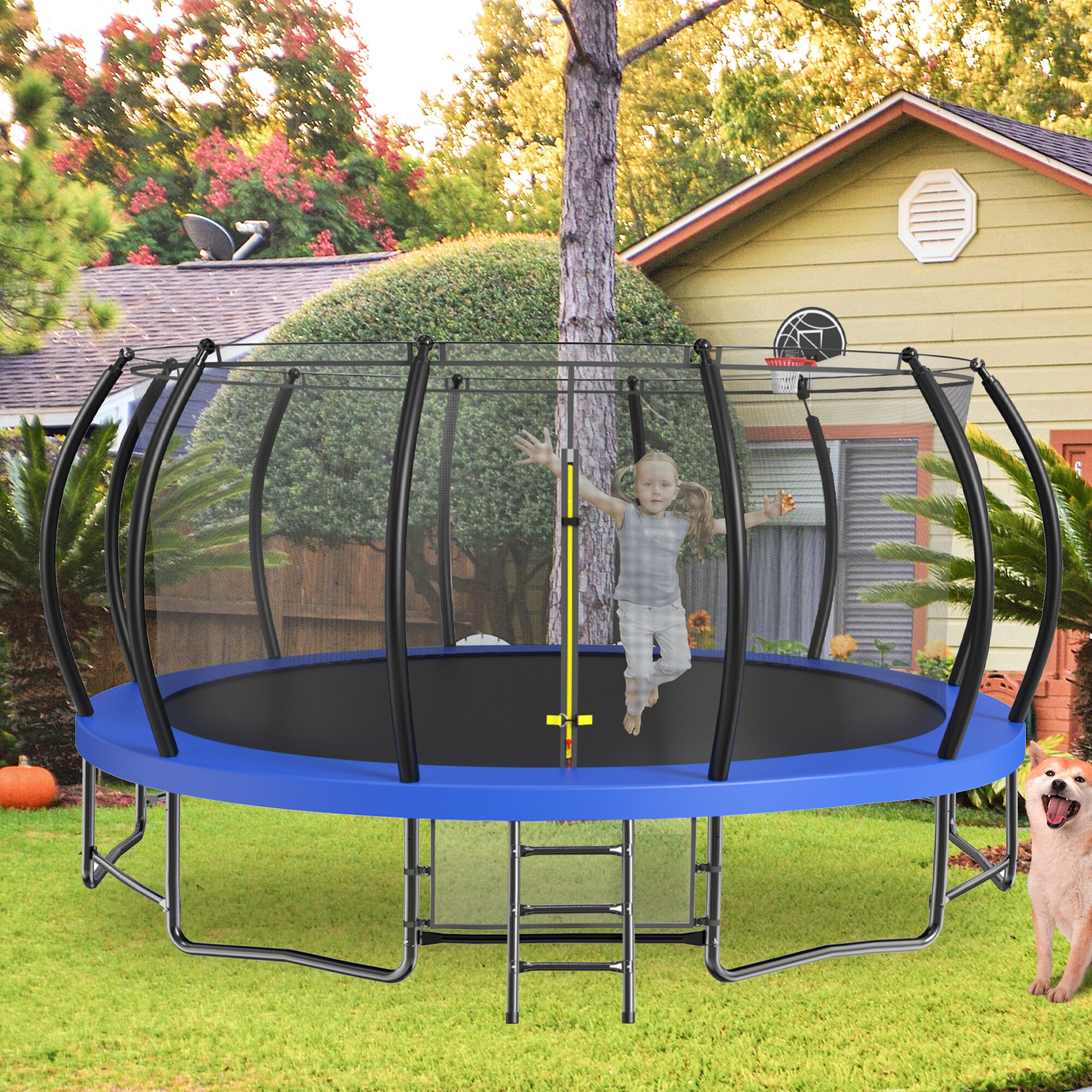 Sunrinx MG8-TP-5 trampolines - View #3