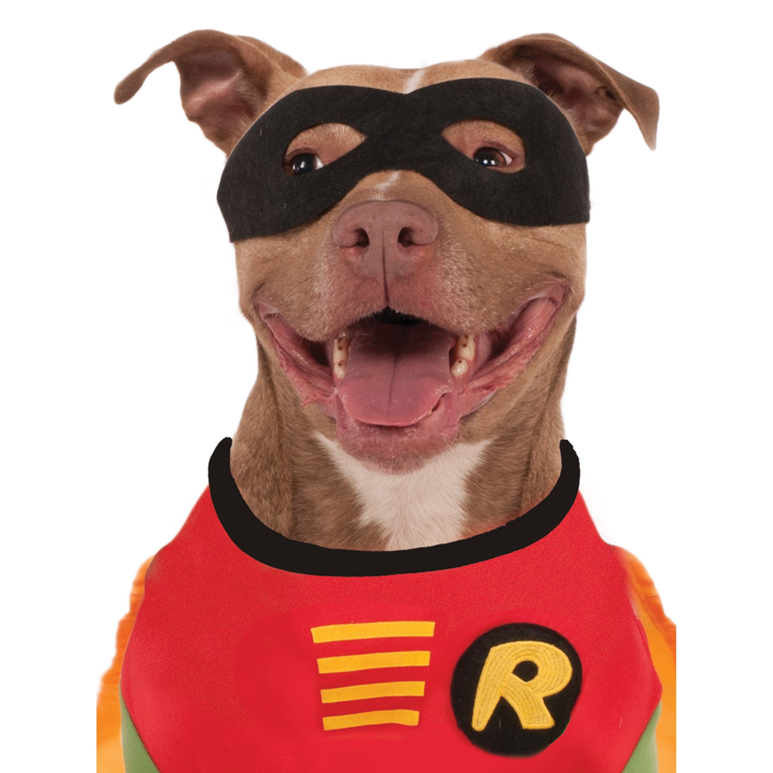 Rubie's Costumes Xxl Justice League Robin Polyester Robin Costume Dog ...