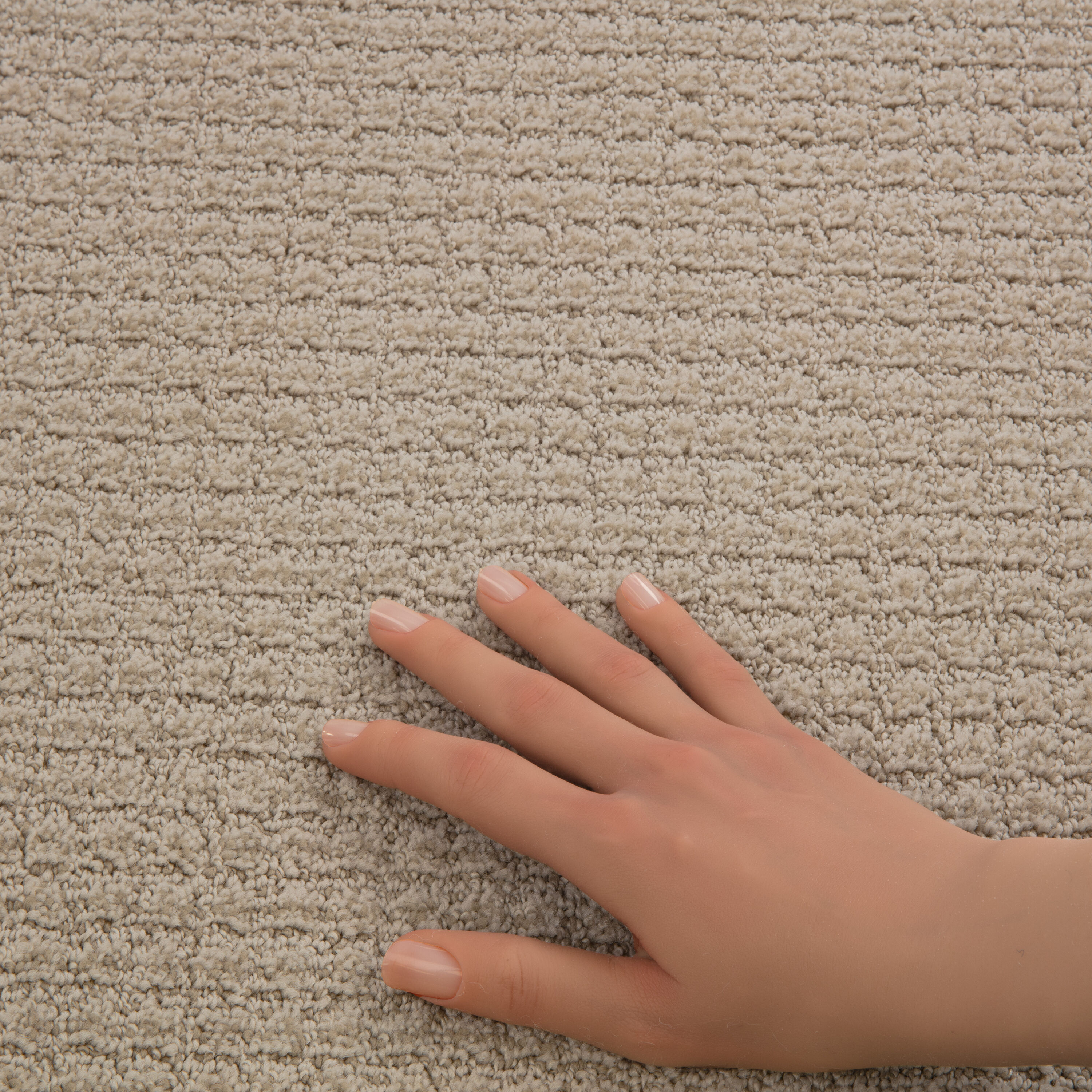STAINMASTER PetProtect 7L885 - 104 - SAMP Carpet-Samples - View #5
