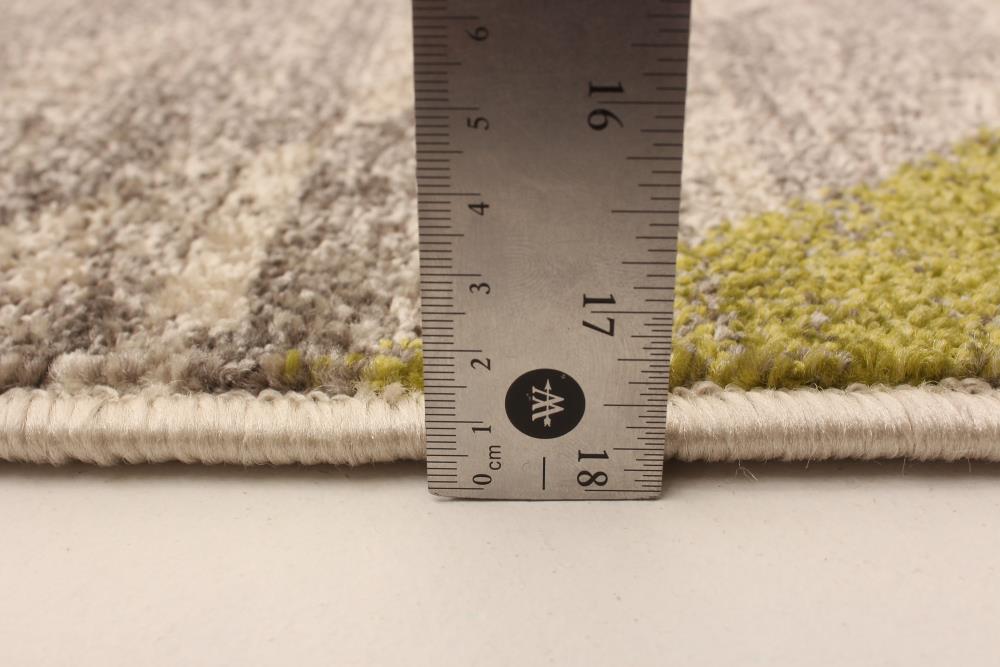 ECARPETGALLERY 345743 rugs - View #6