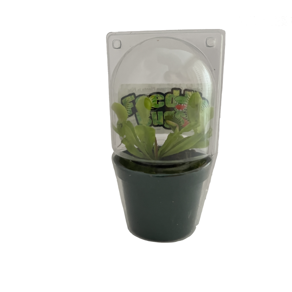 Gubler Carnivorous Plant House plant in 1 Ounce(s) Pot 1 -Pack