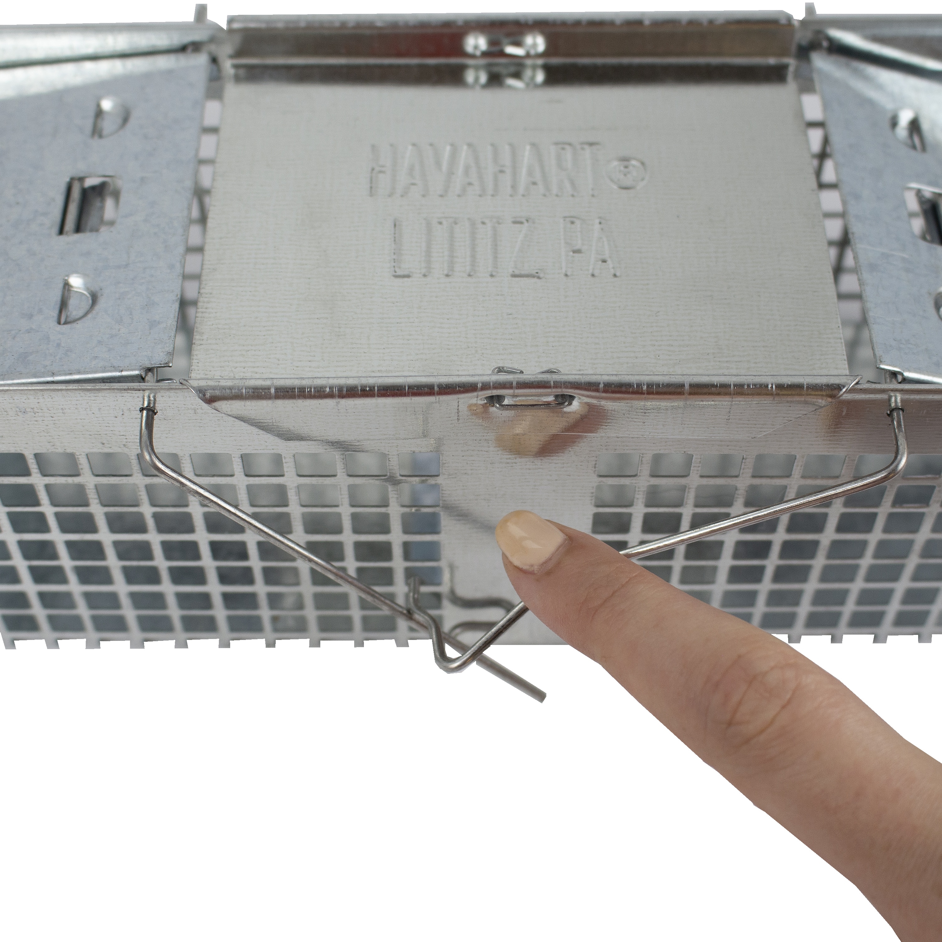 HAVAHART LIVE ANIMAL CAGE TRAP IN BOX - Earl's Auction Company