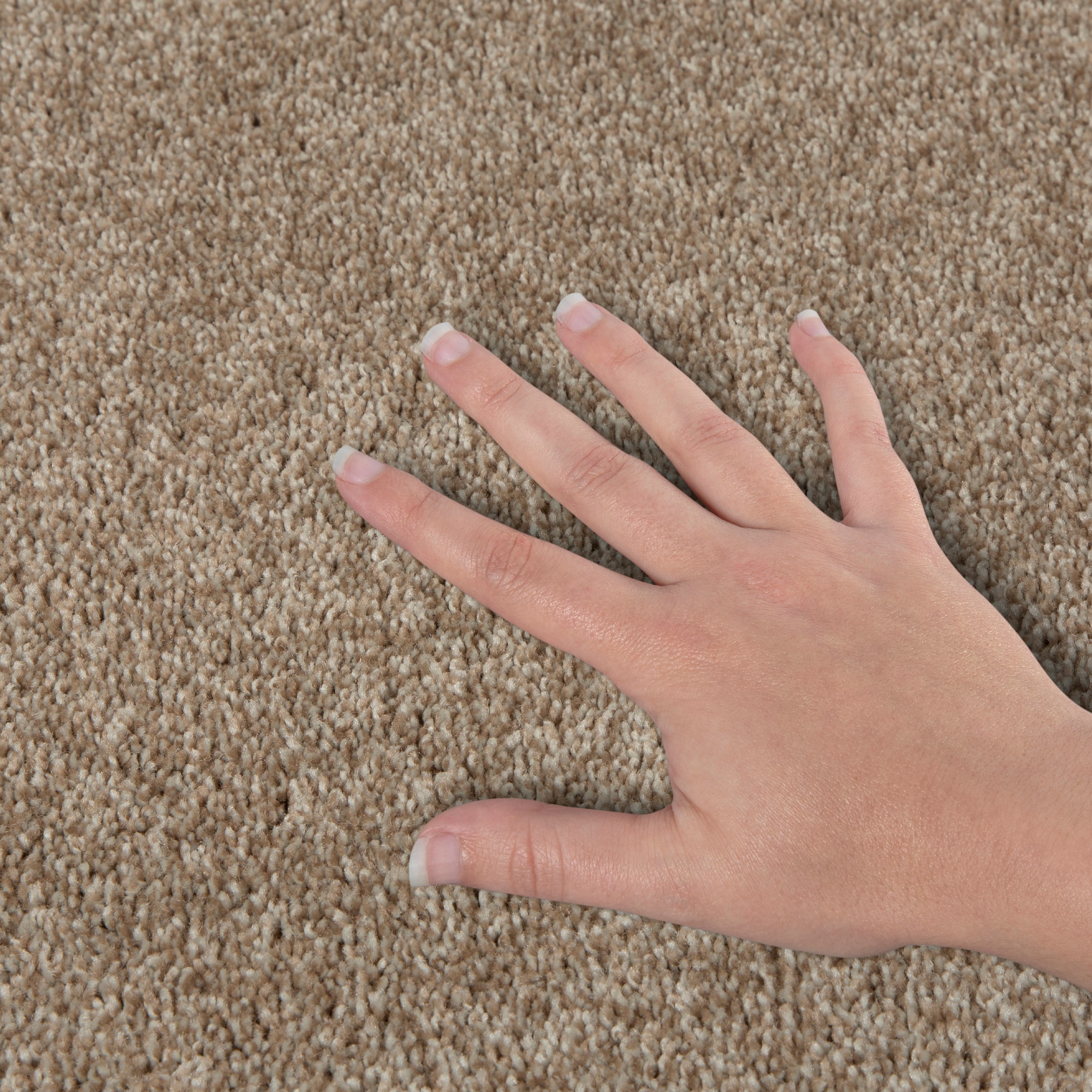 STAINMASTER PetProtect SS021-12-L012 Carpet-Panel - View #4