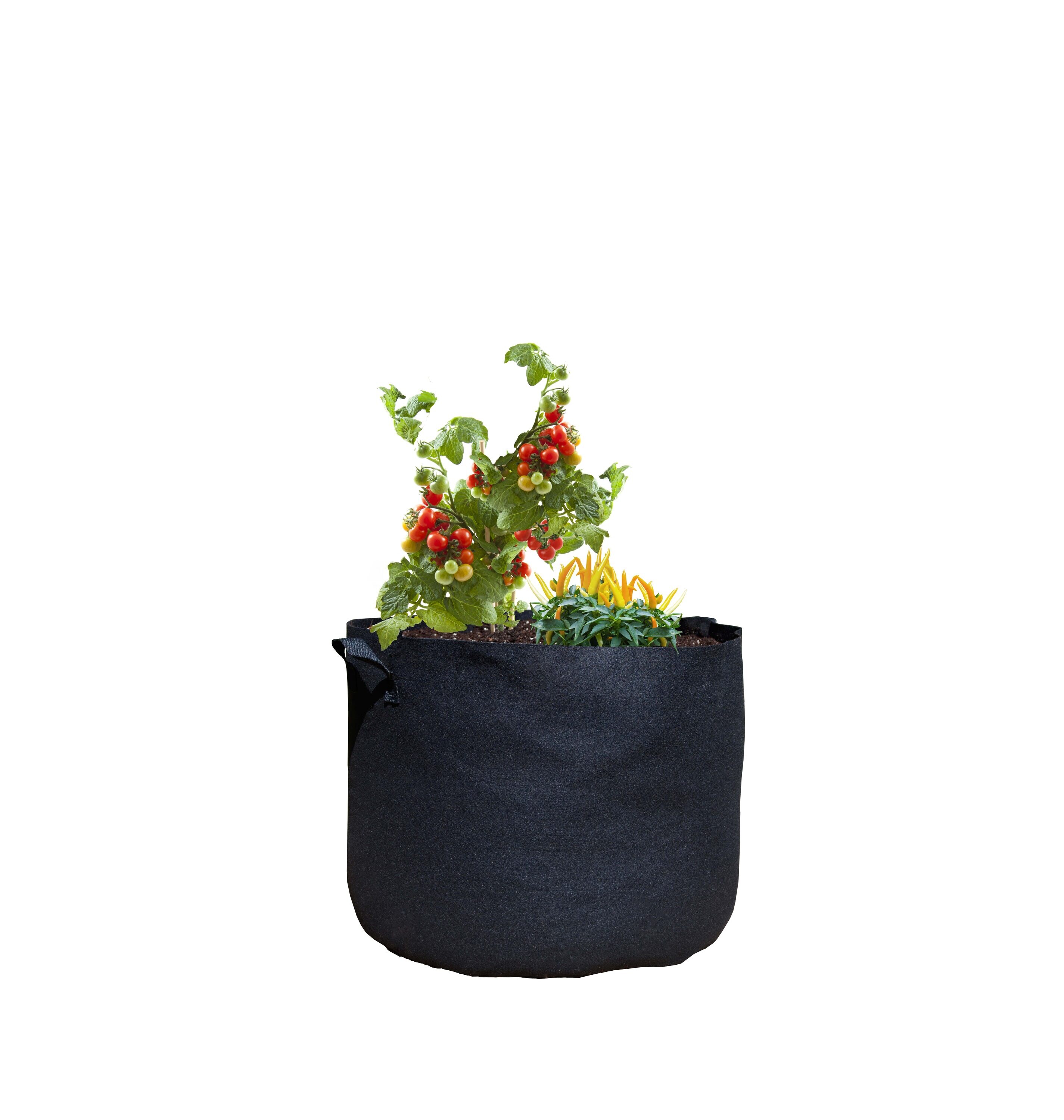 Viagrow V20GAPOT-3 3 -Pack Round 16.0-in W Extra Large Black HDPE Indoor/Outdoor Grow bag
