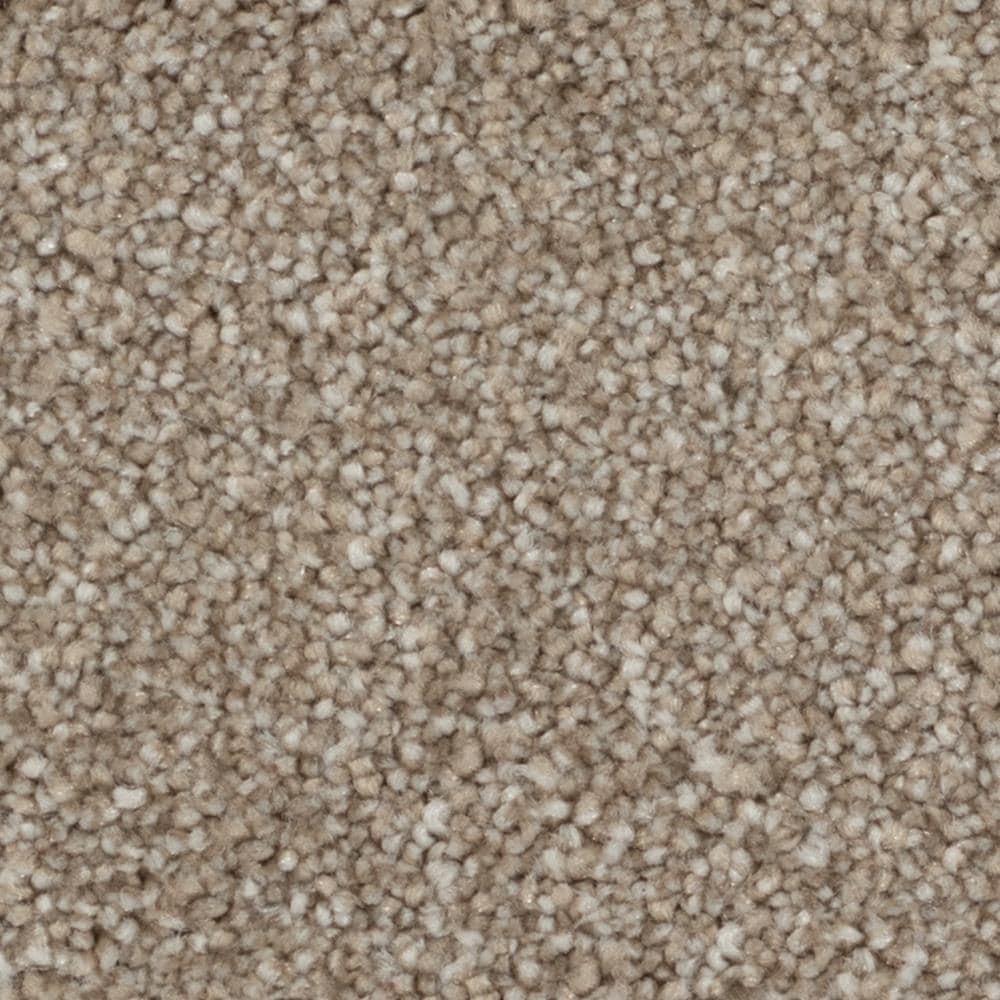 STAINMASTER LU485-9513 (Sample) Beatitude Elsewhere Brown 74-oz sq yard Solution-dyed polyester Textured Indoor Carpet