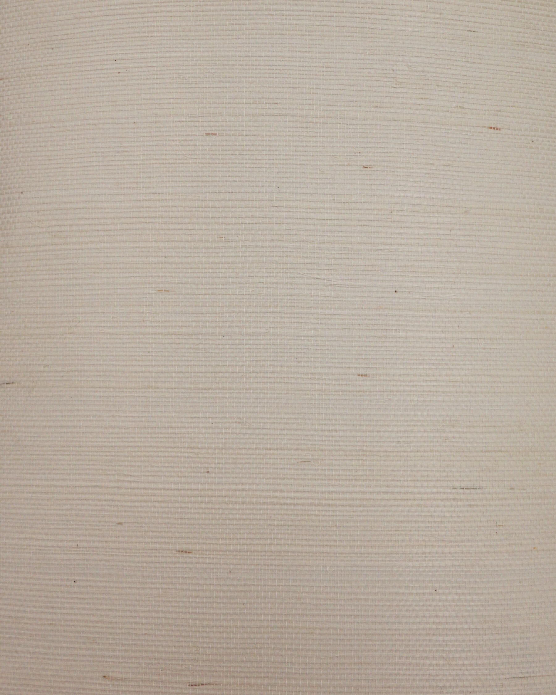 York Wallcoverings DL2954 Candice Olson Natural Splendor 72-Sq. Feet Cream Grasscloth Textured Grasscloth 3D Unpasted Wallpaper