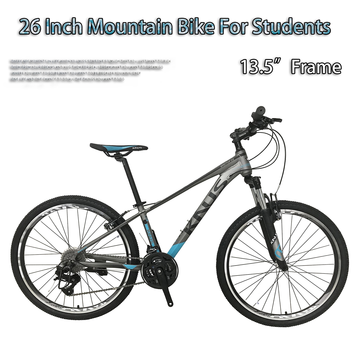 26in boys bike hot sale