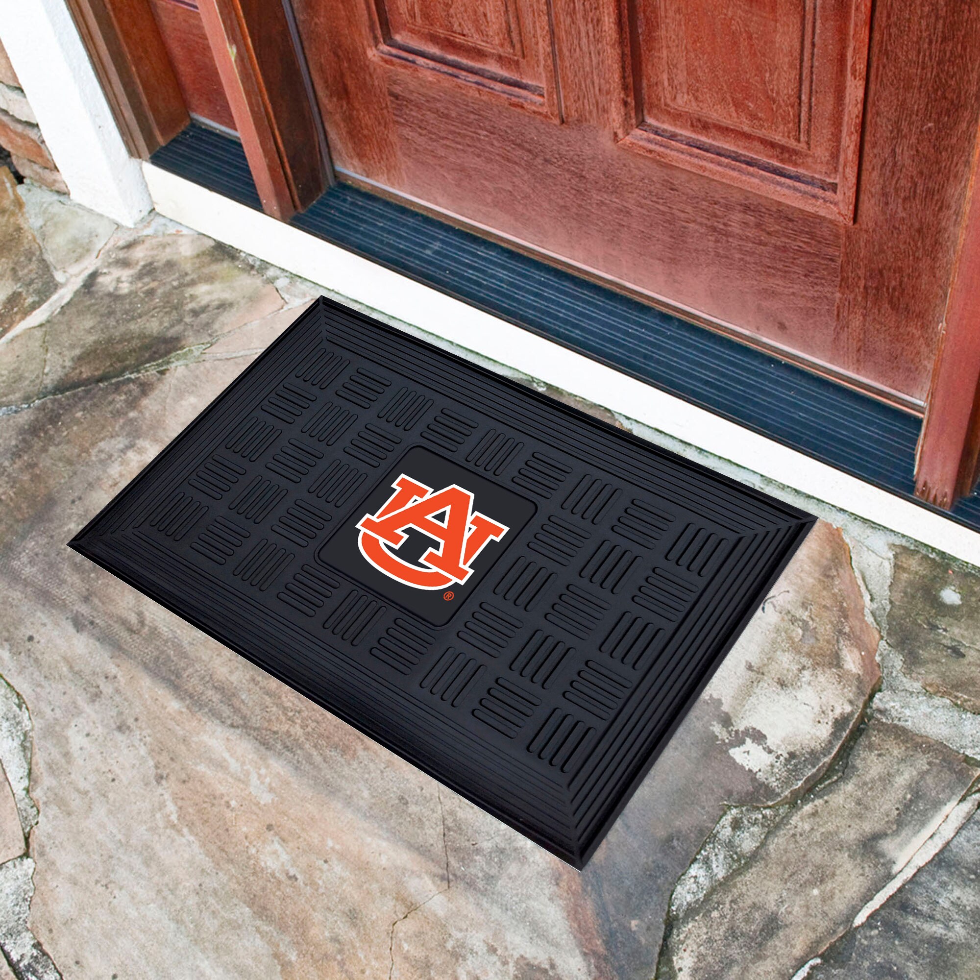  11350 Mats-Cat - View #2